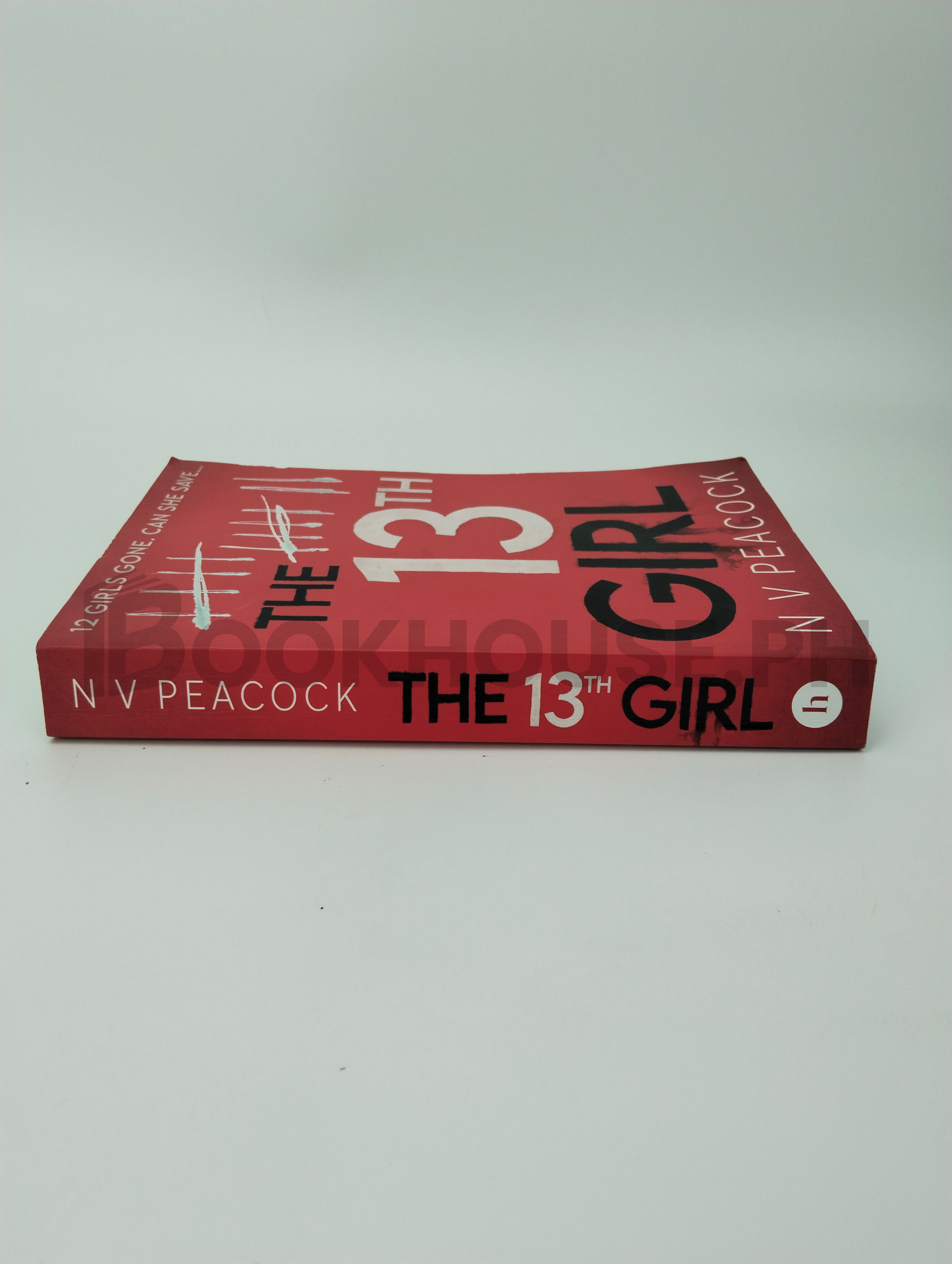 The 13th Girl by Nicky Peacock - Image 3