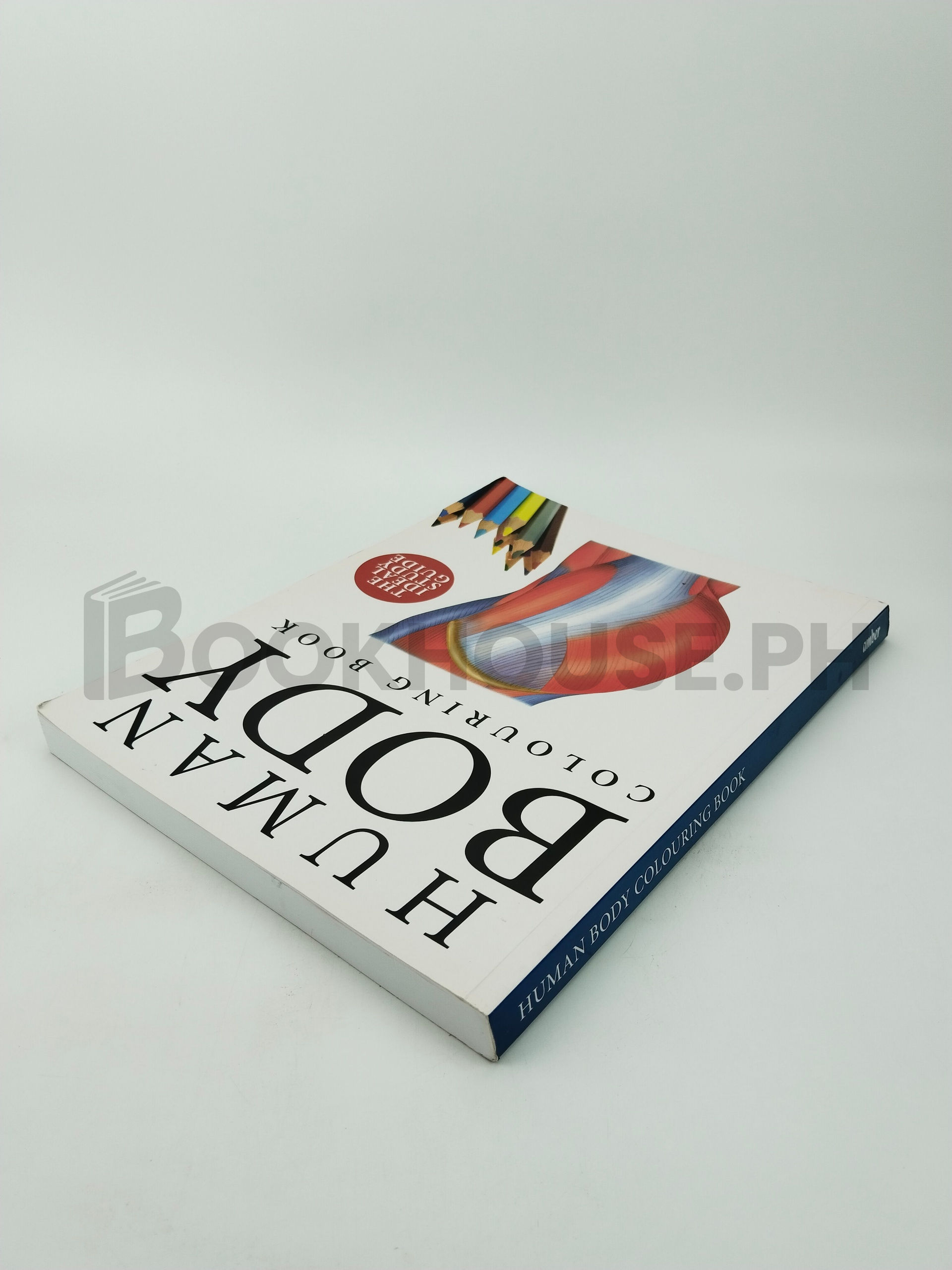 Human Body Colouring Book by Amber - Image 2