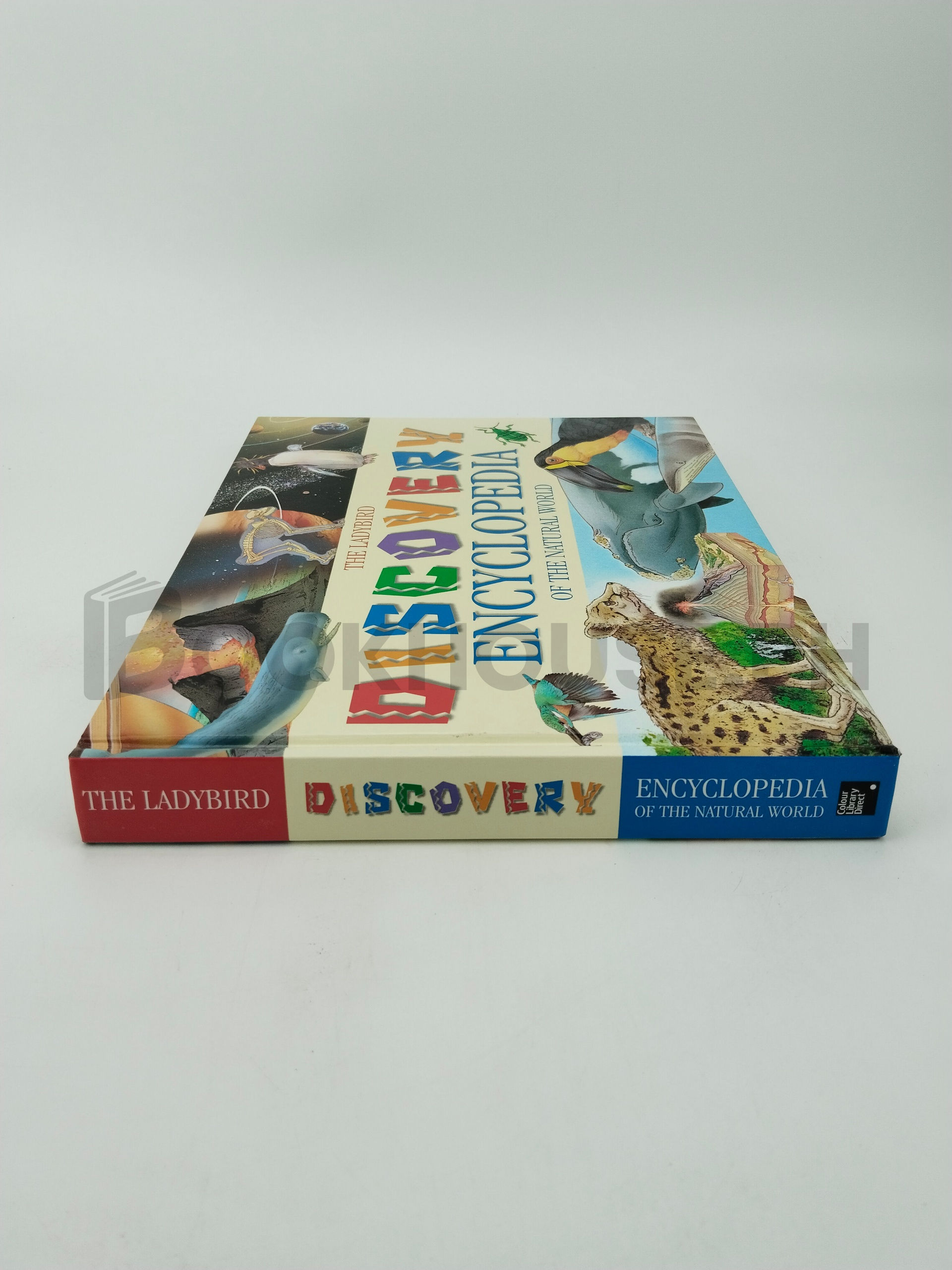 The Ladybird Discovery Encyclopedia Of The Natural World by Colour Library Direct - Image 3