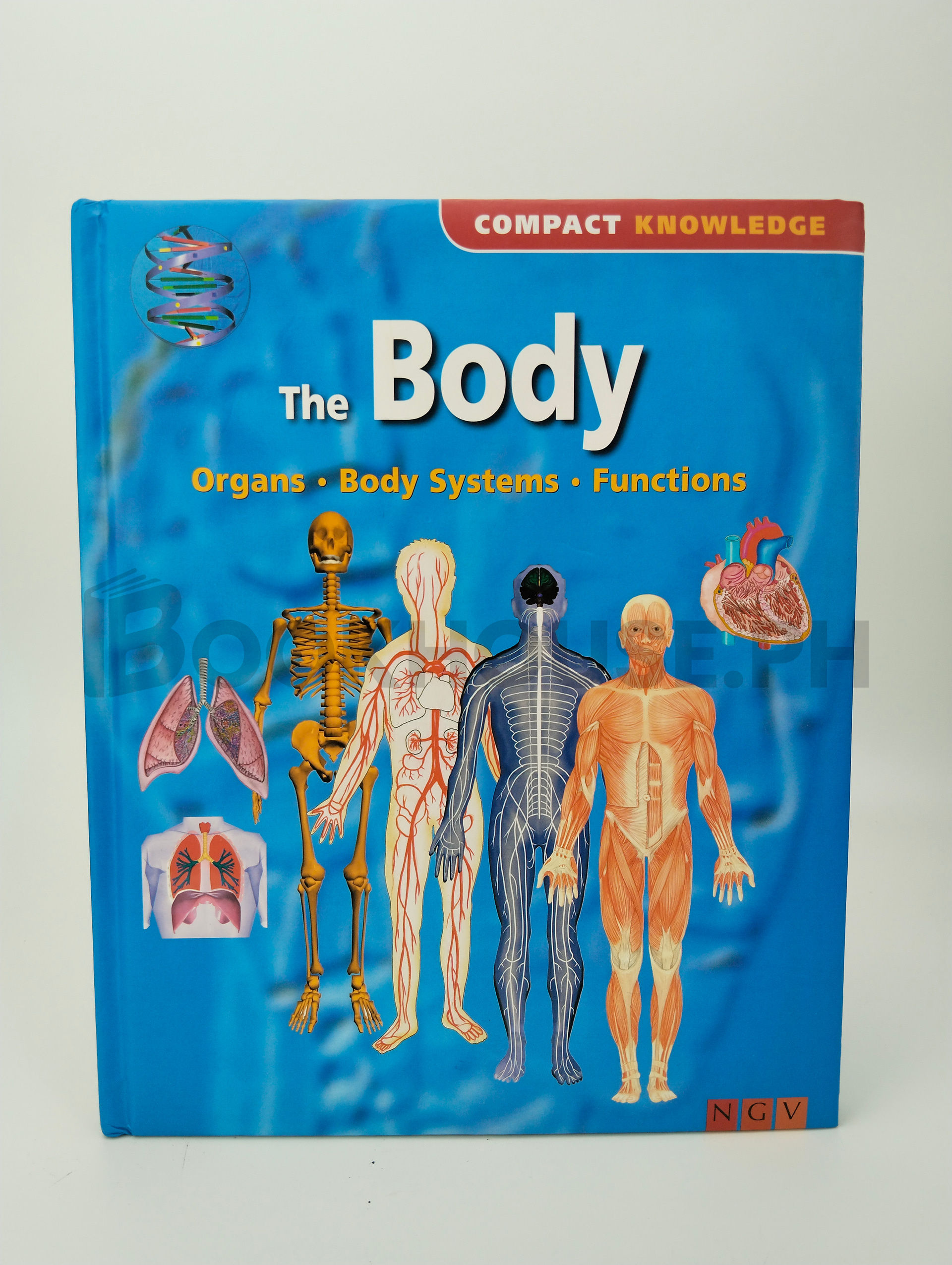 The Body Organs, Body Systems, Functions by Ngv