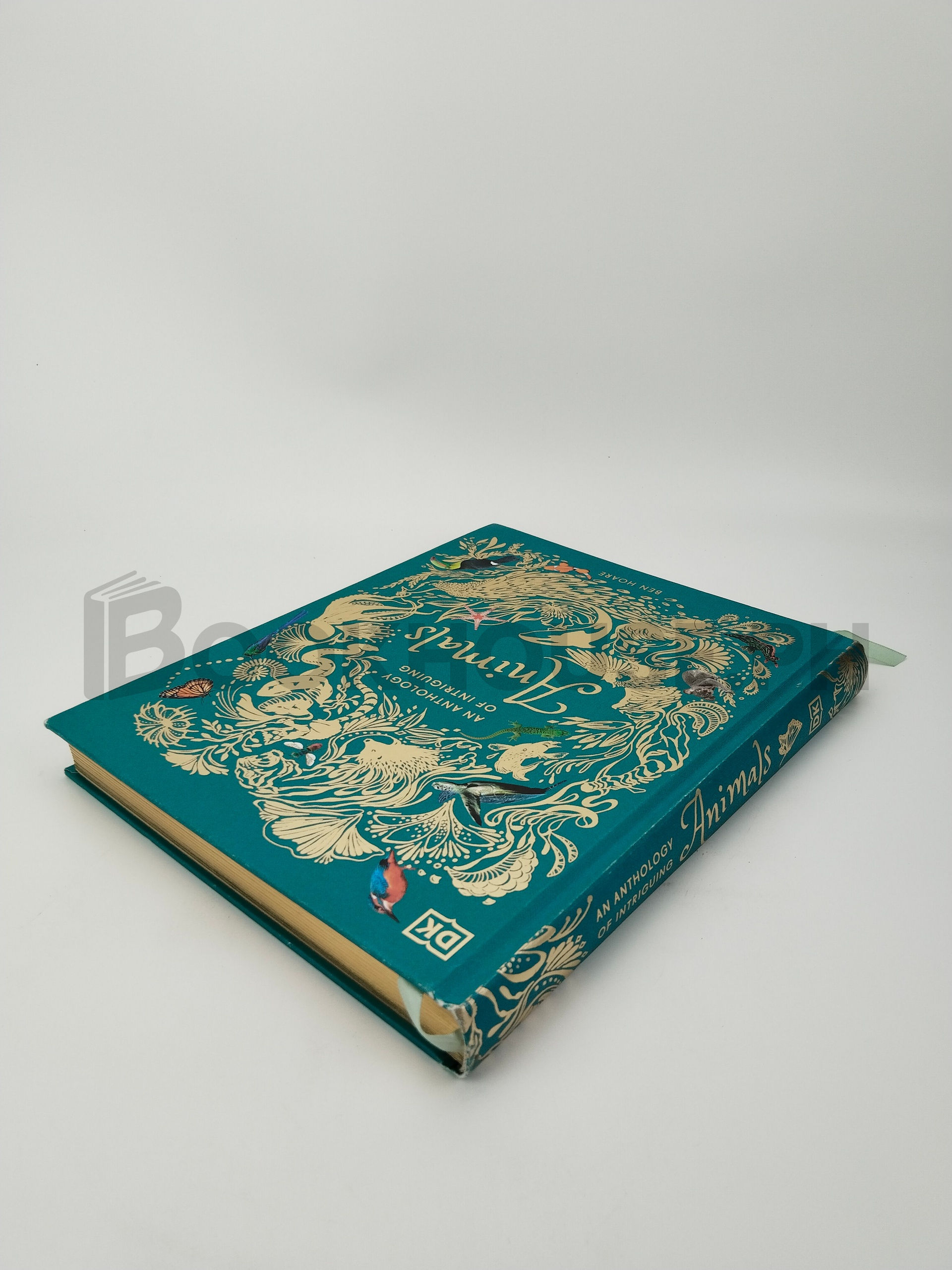 An Anthology Of Intriguing Animals by Ben Hoare - Image 2