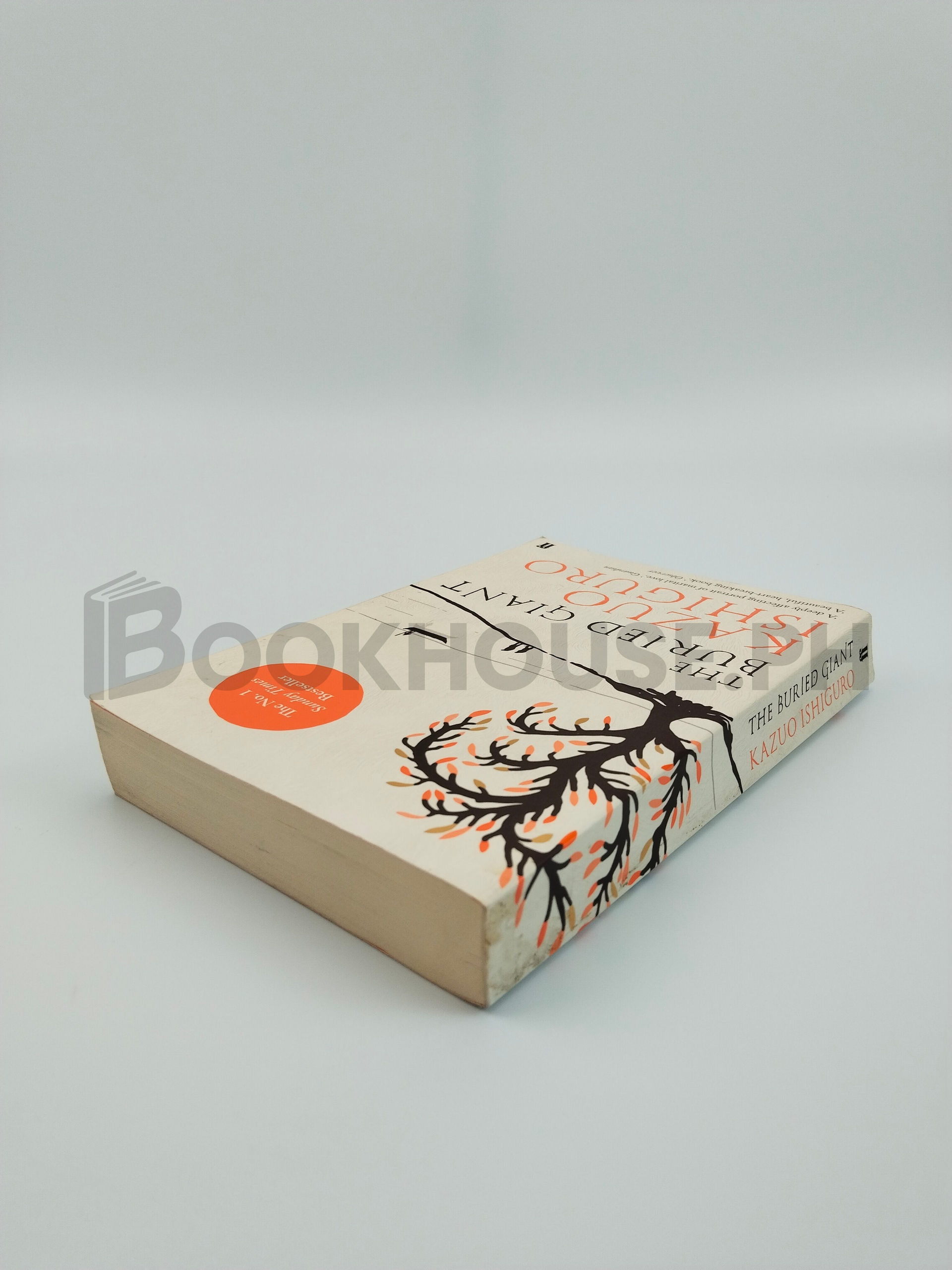 The Buried Giant by Kazuo Ishiguro - Image 2