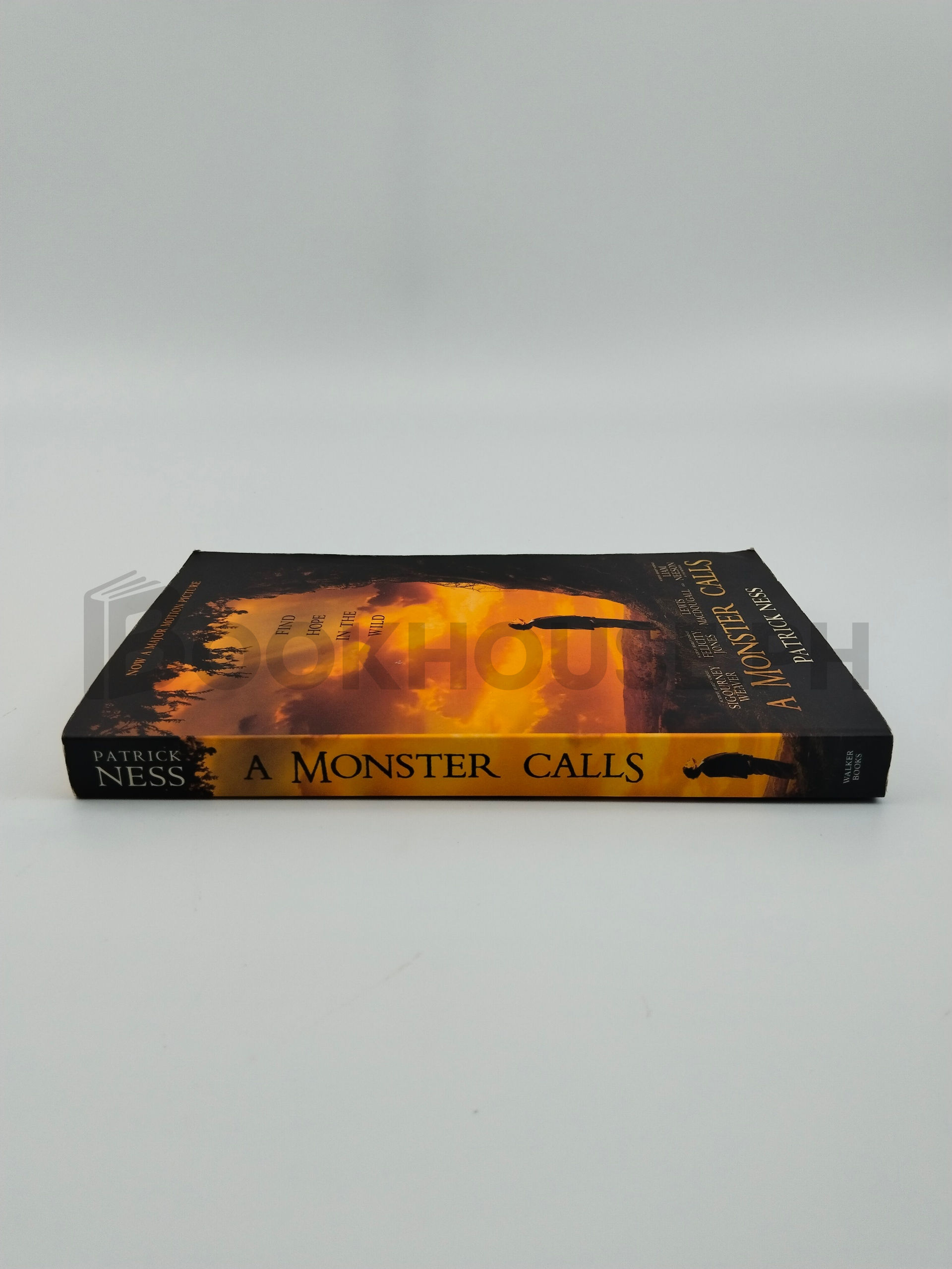 A Monster Calls by Patrick Ness - Image 3