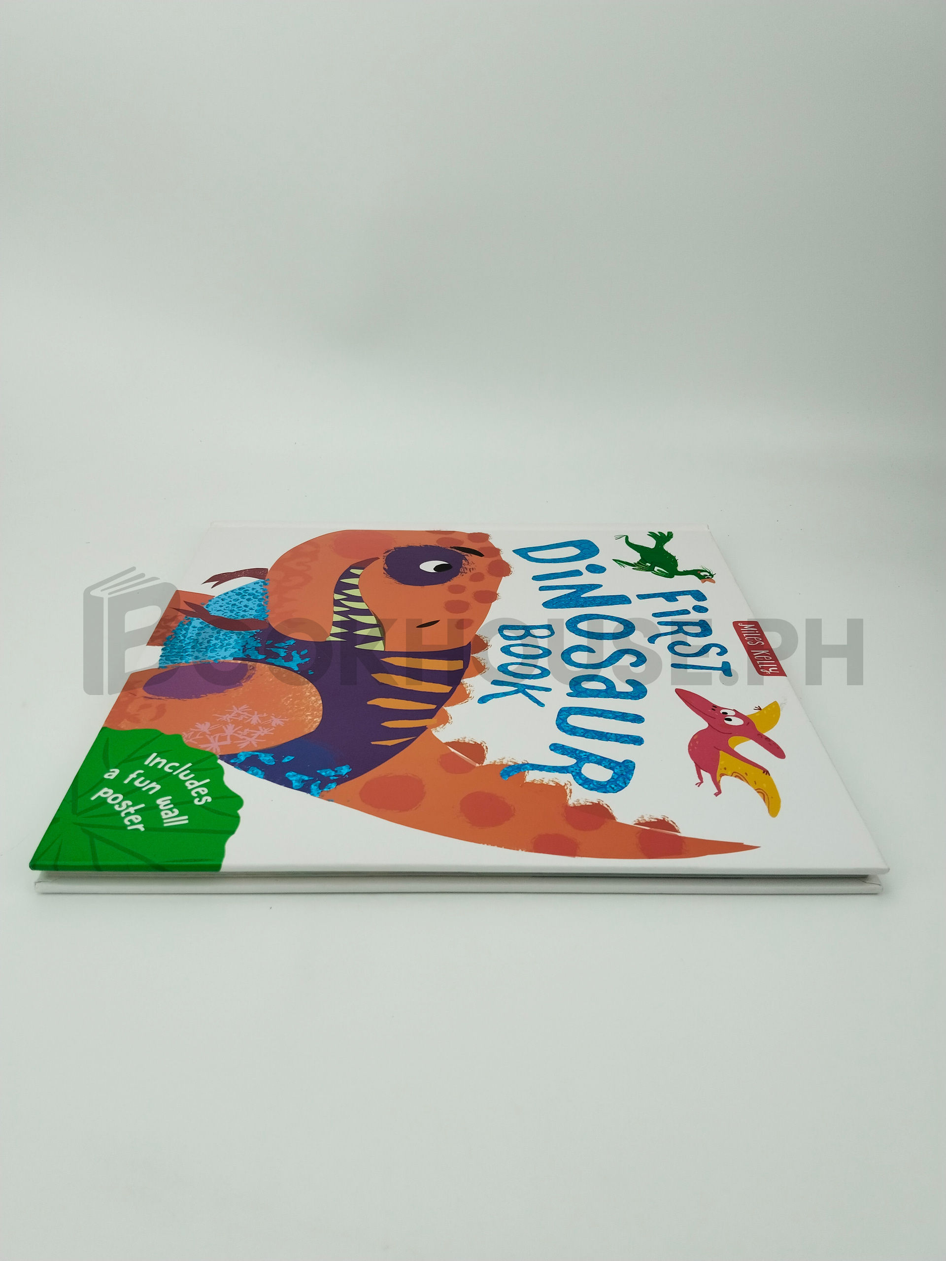 C48hb First Dinosaur Book by Clive Gifford - Image 4