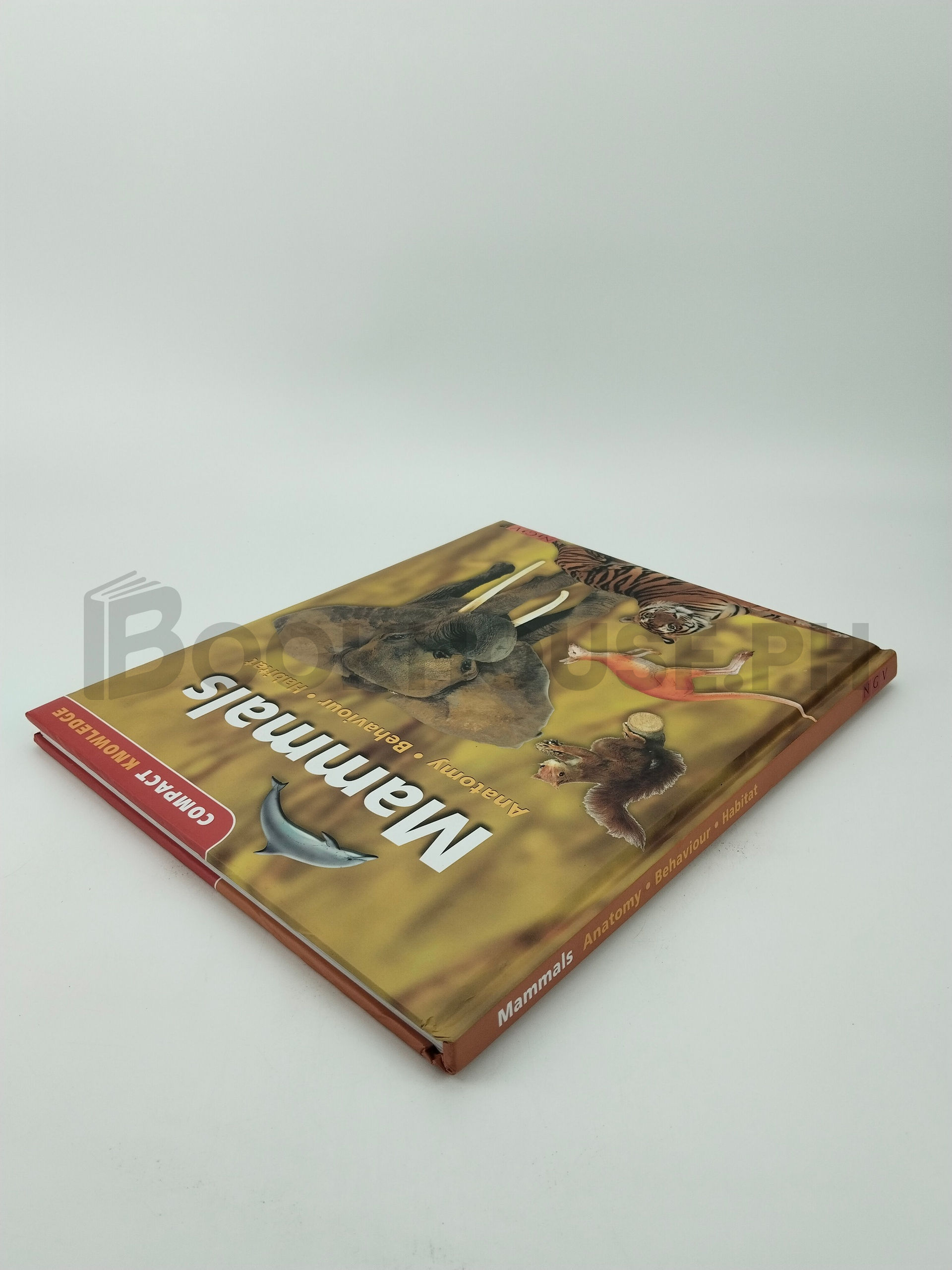 Mammals Anatomy, Behaviour, Habitat by Ngv - Image 2