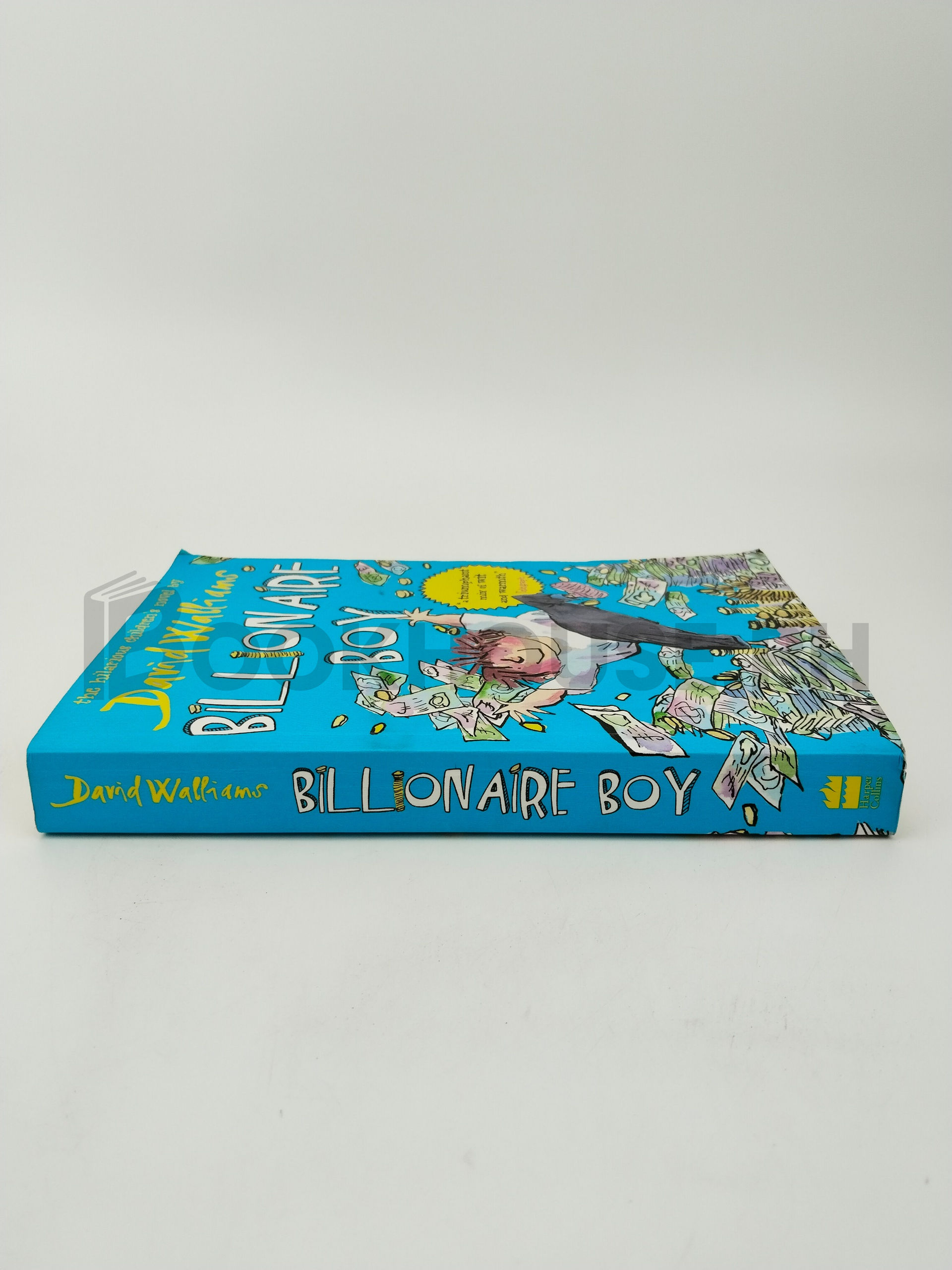 Billionaire Boy by David Walliams - Image 3