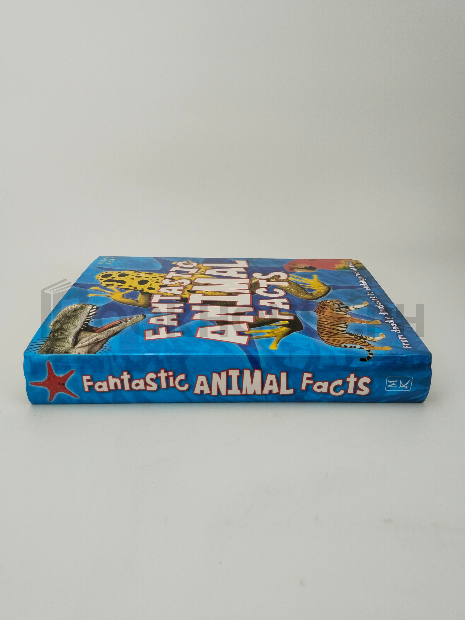 Fantastic Animal Facts by Miley Kelly - Image 3