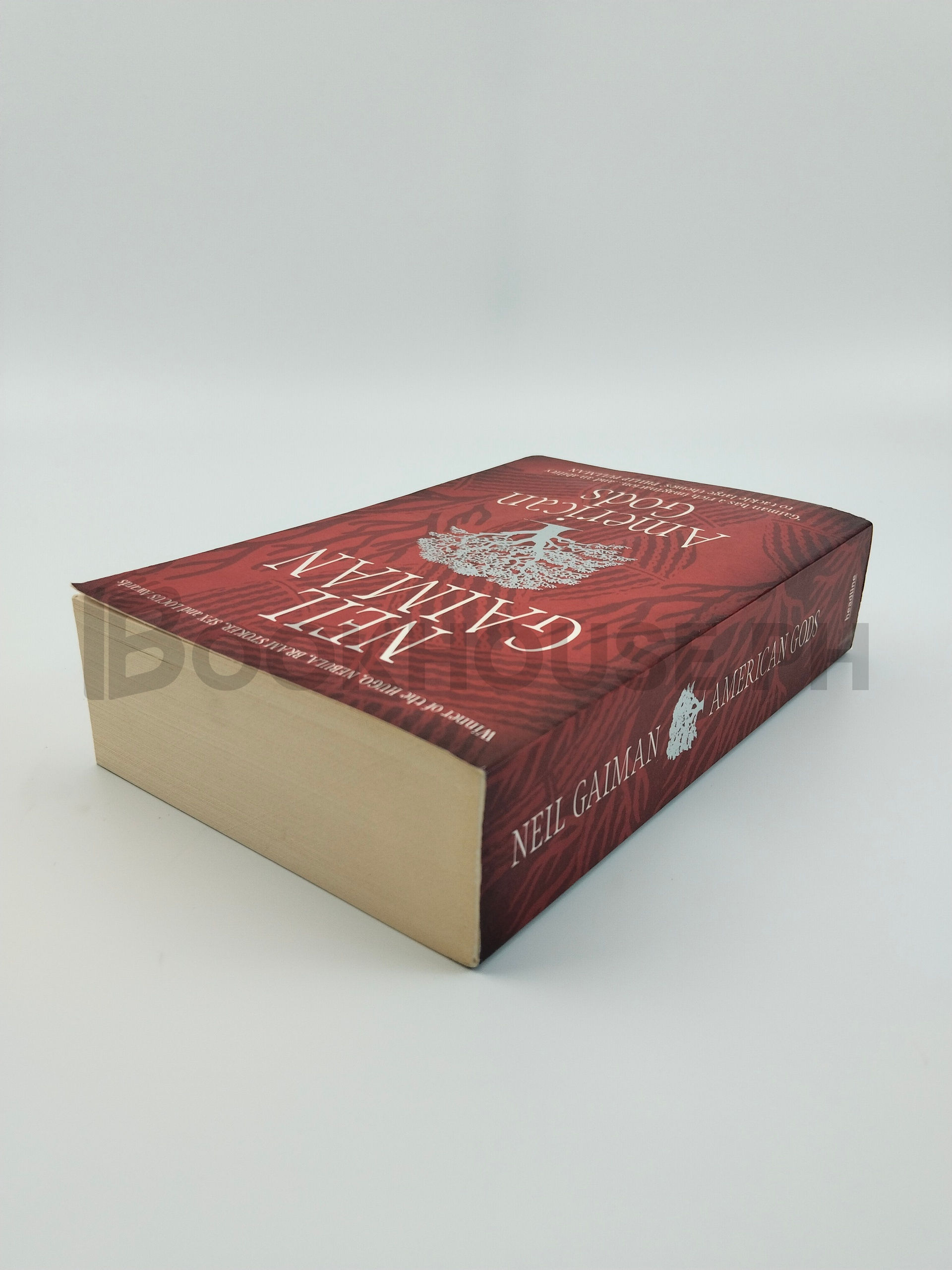 American Gods by Neil Gaiman - Image 2