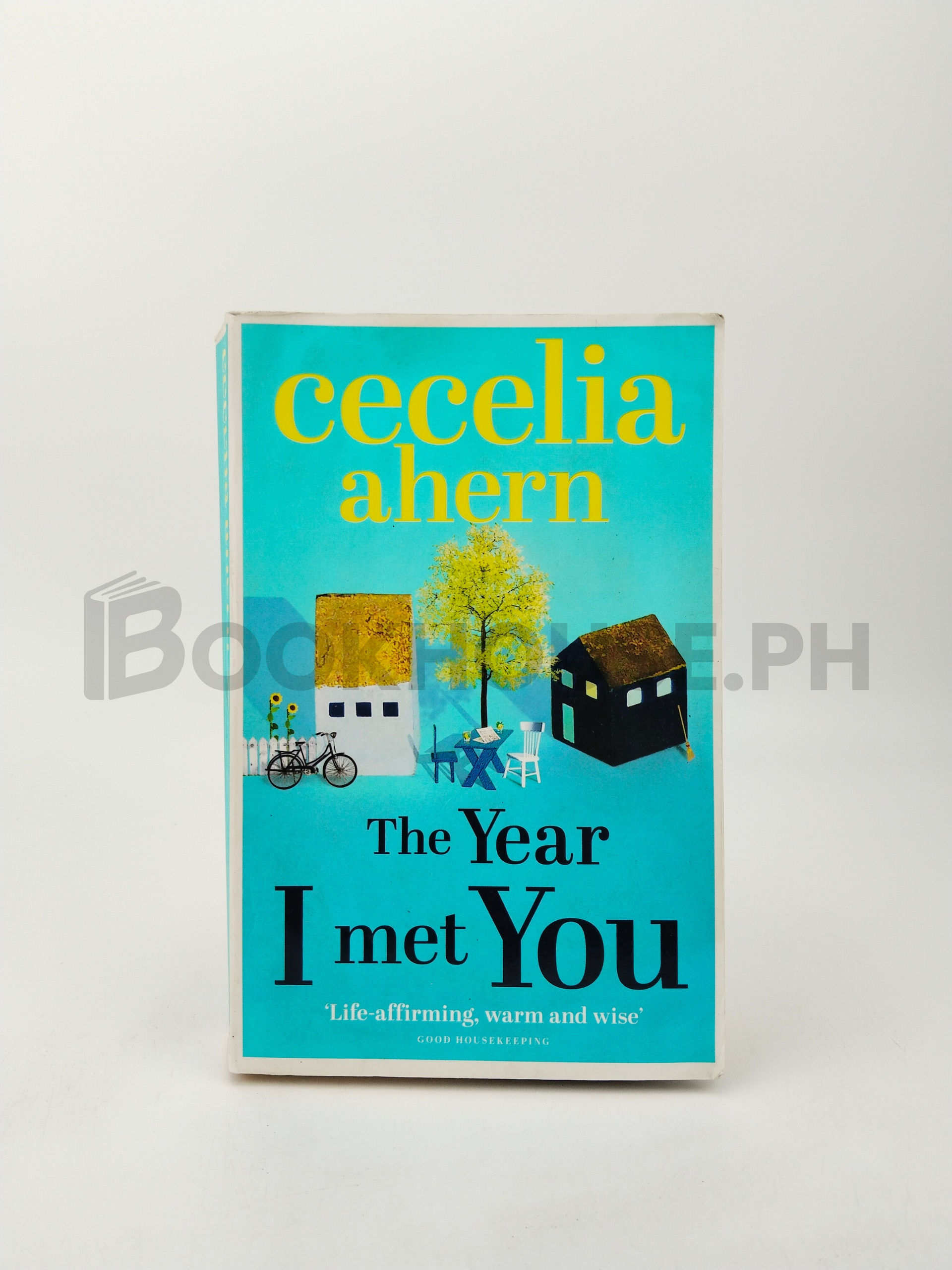 The Year I Met You by Cecelia Ahern
