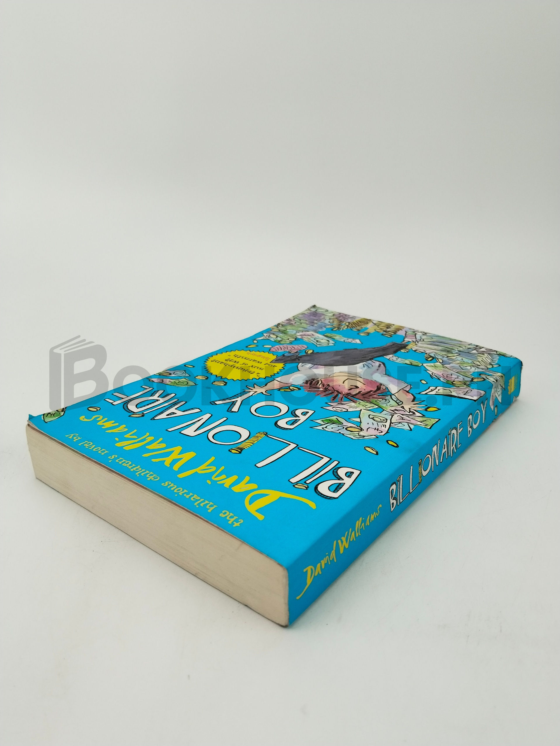 Billionaire Boy by David Walliams - Image 2