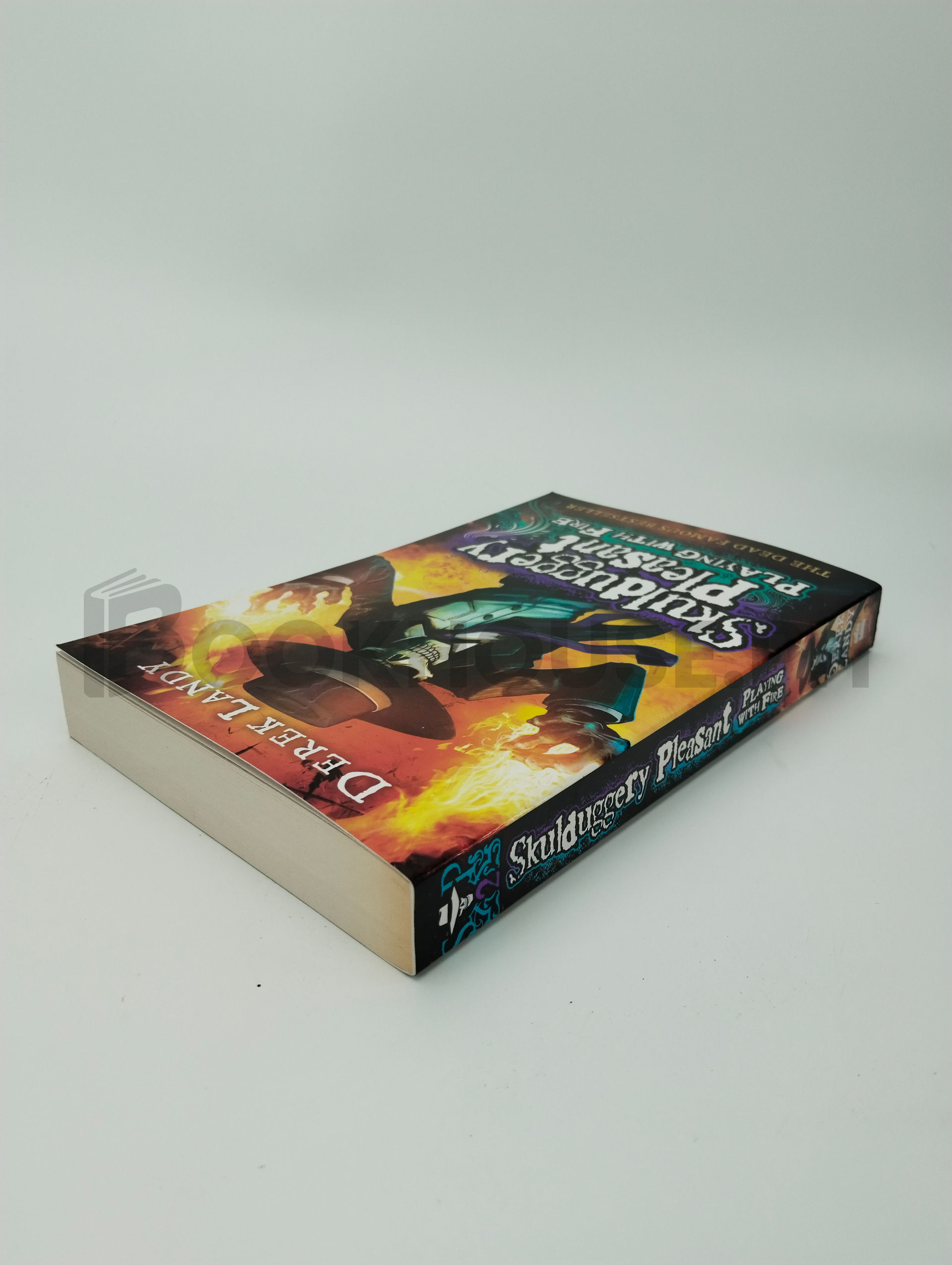 Playing With Fire by Derek Landy - Image 2