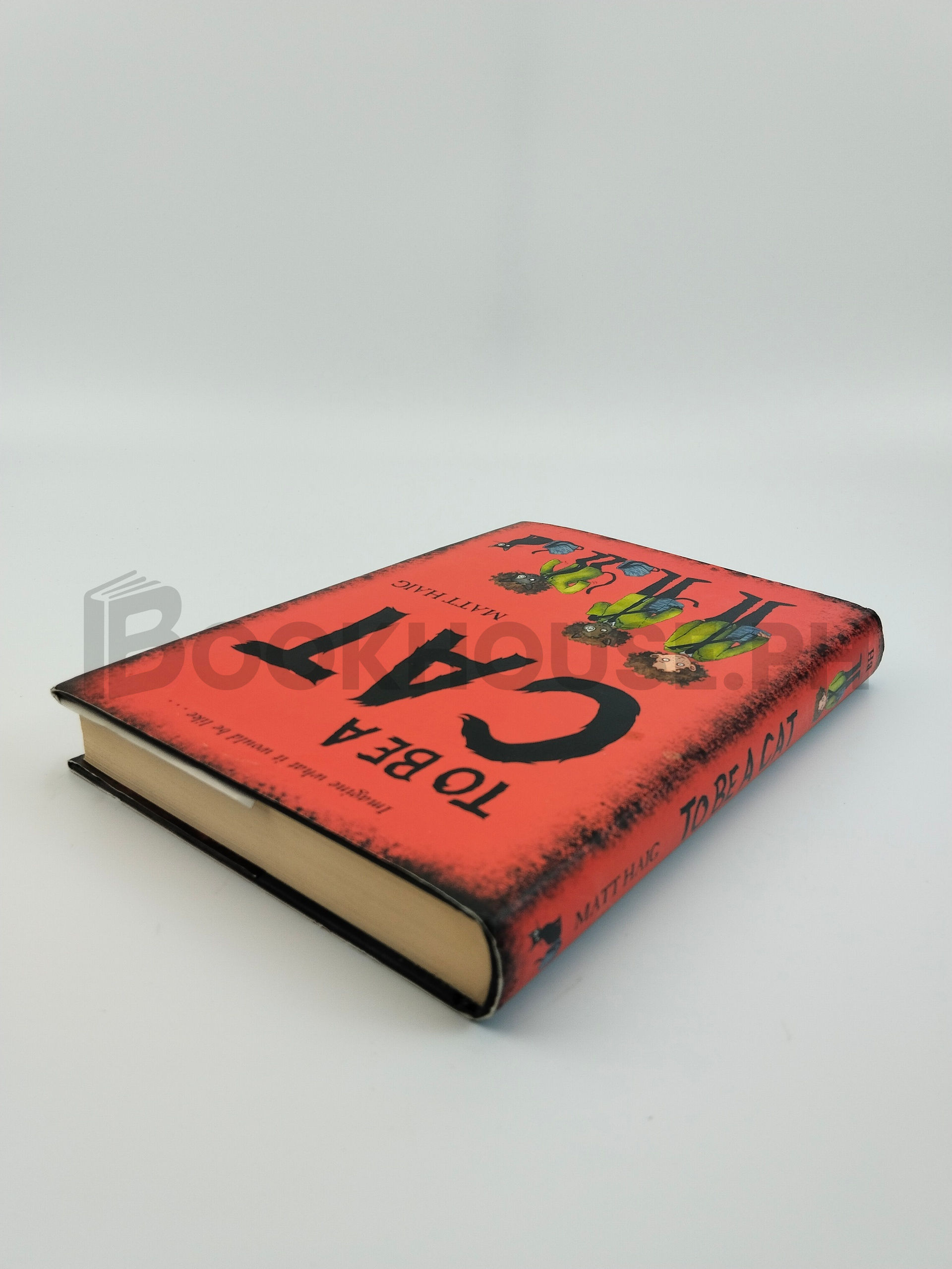 To Be A Cat by Matt Haig - Image 2