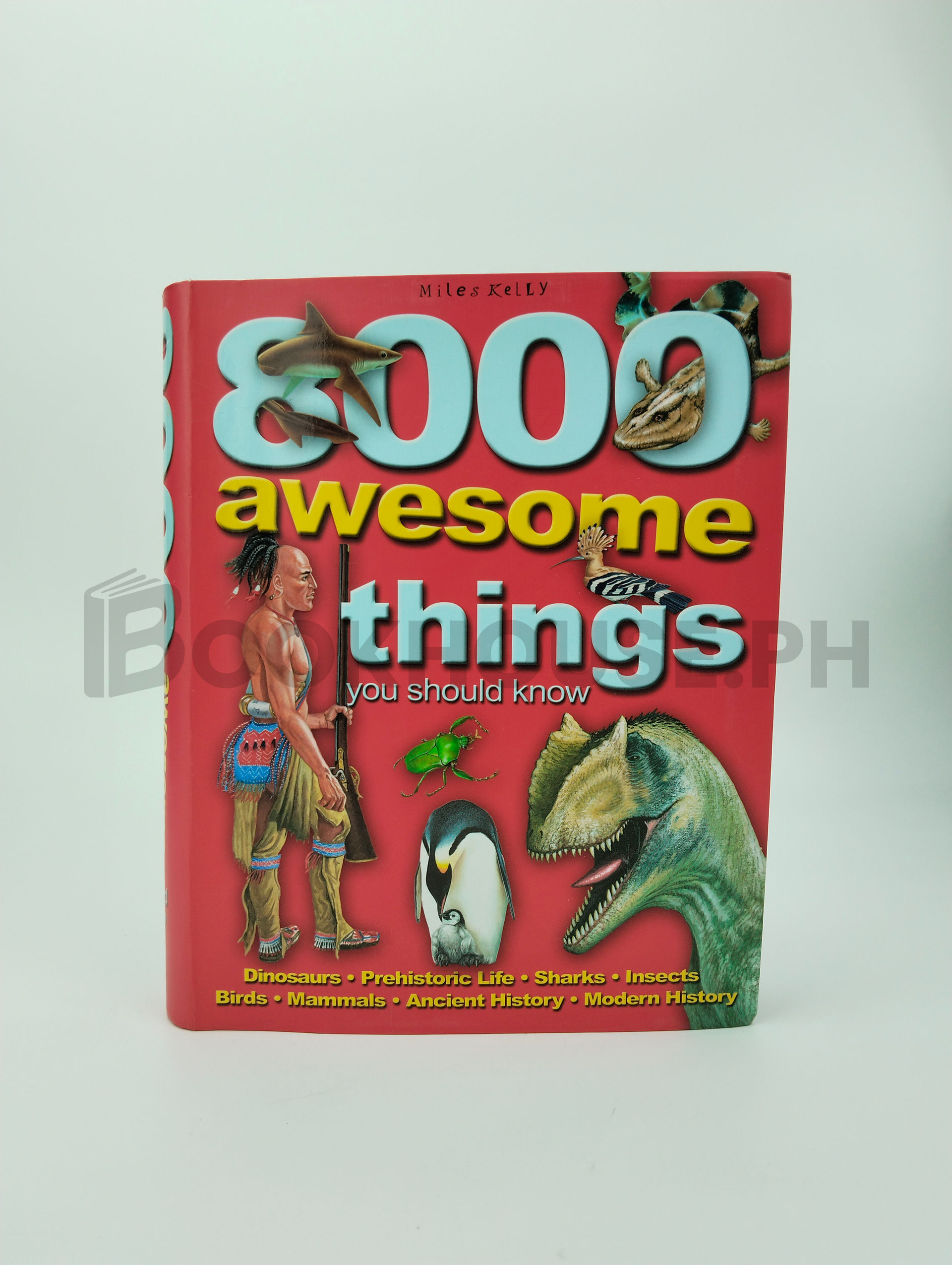 8000 Awesome Things You Should Know by Belinda Gallagher, Miles Kelly Publishing