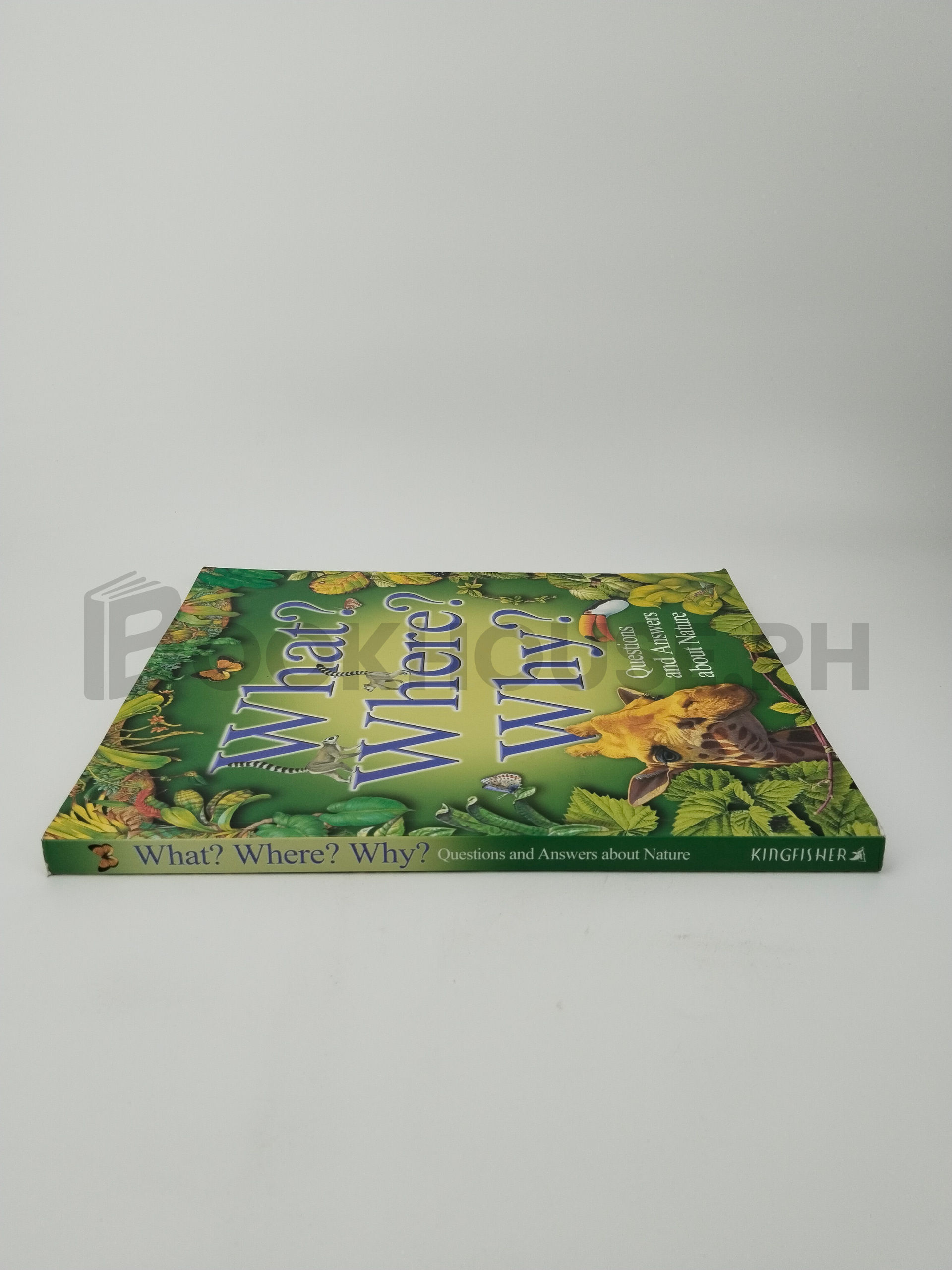 What? Where? Why? by Jim Bruce - Image 3