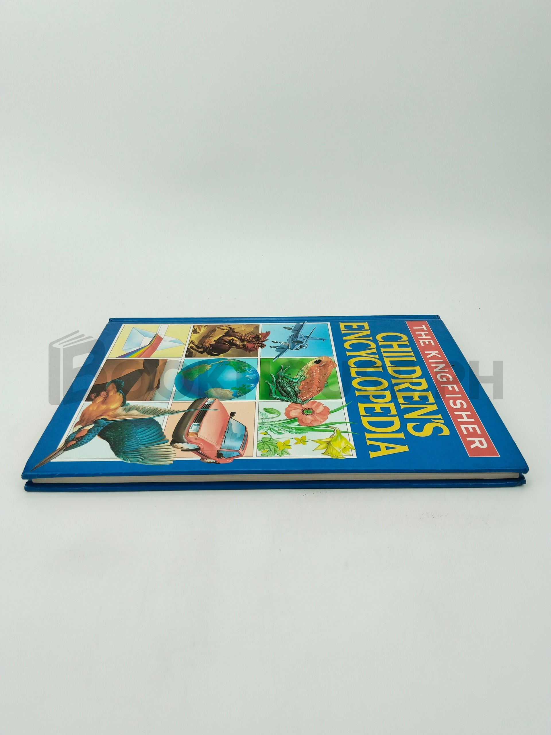 The Kingfisher Children's Encyclopedia by Kingfisher - Image 4