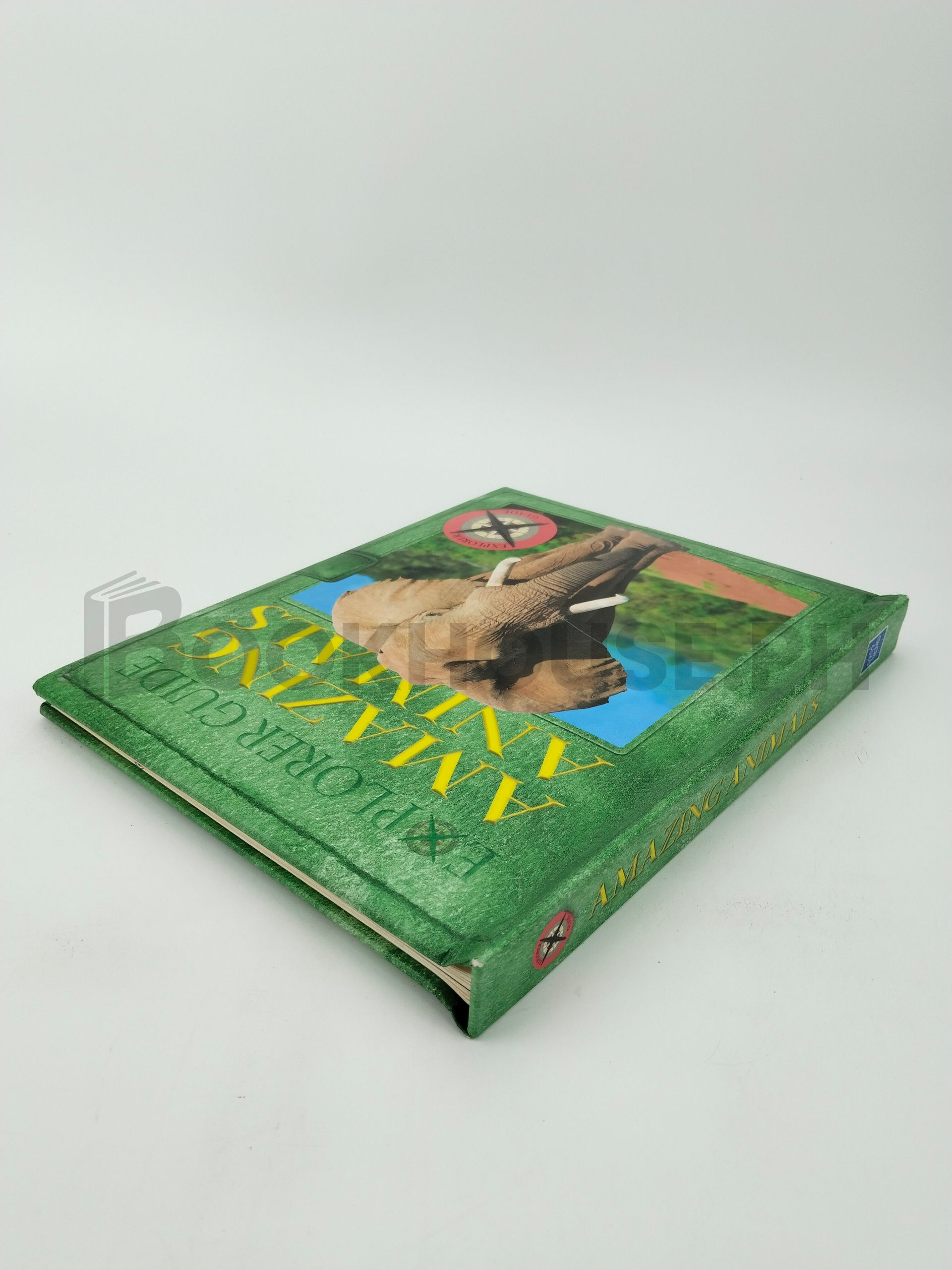 Explorer Guide Amazing Animals by Yoyo Books - Image 2