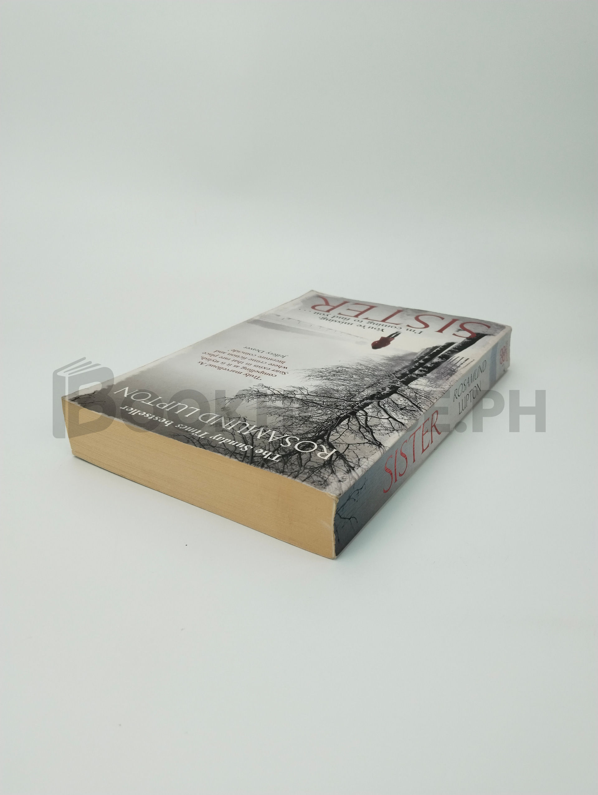 Sister by Rosamund Lupton - Image 2