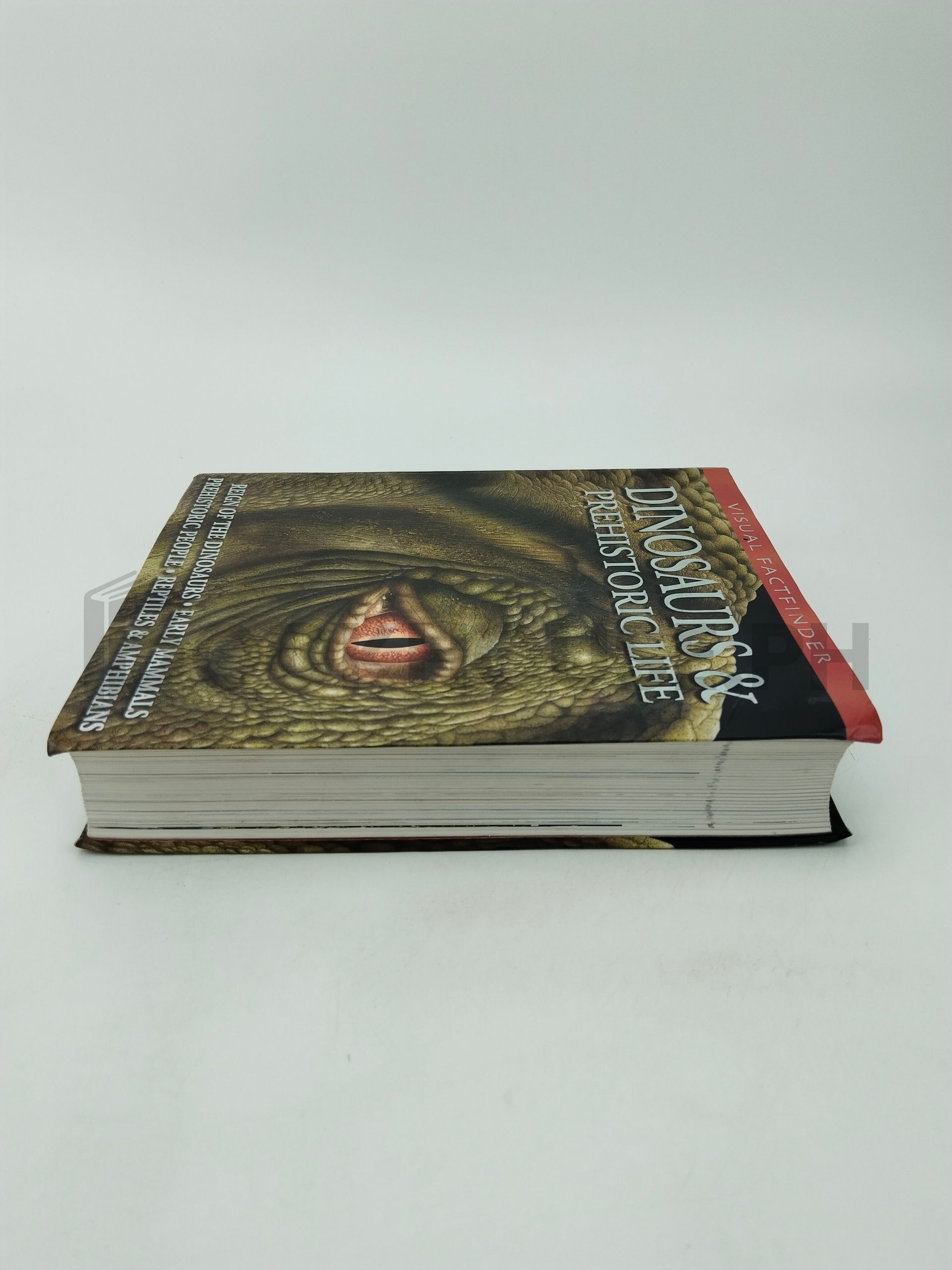 Dinosaurs & Prehistoric Life by Andrew Campbell, Steve Parker - Image 4