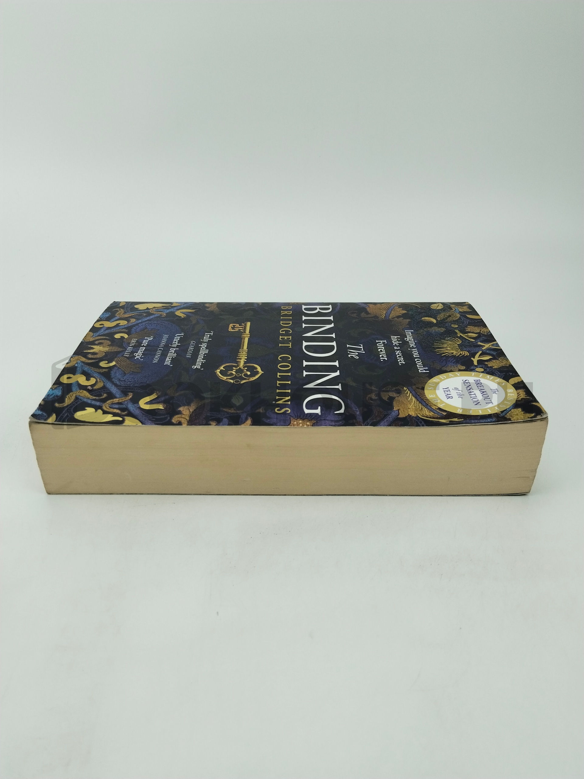 The Binding by Bridget Collins - Image 4