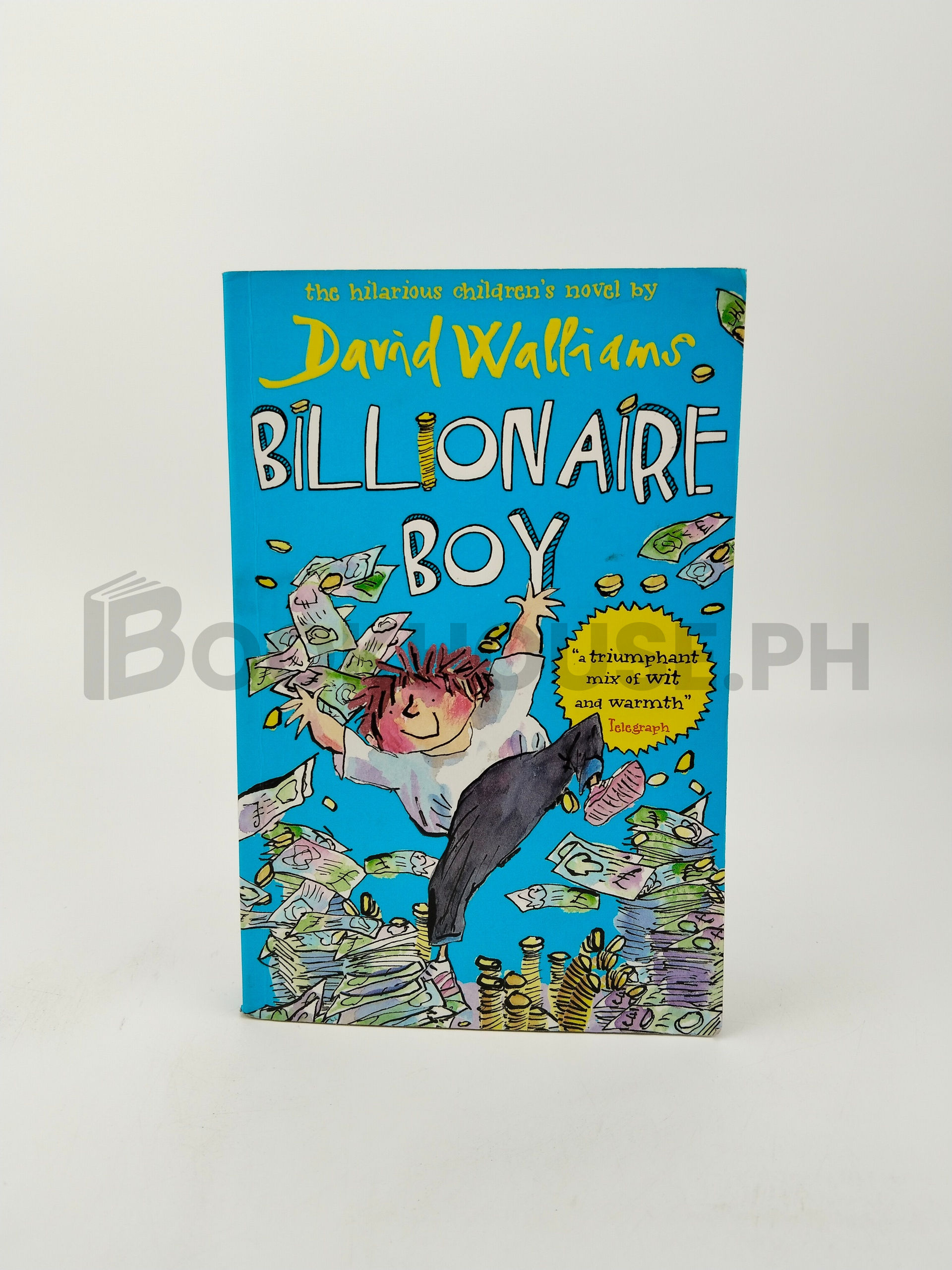 Billionaire Boy by David Walliams