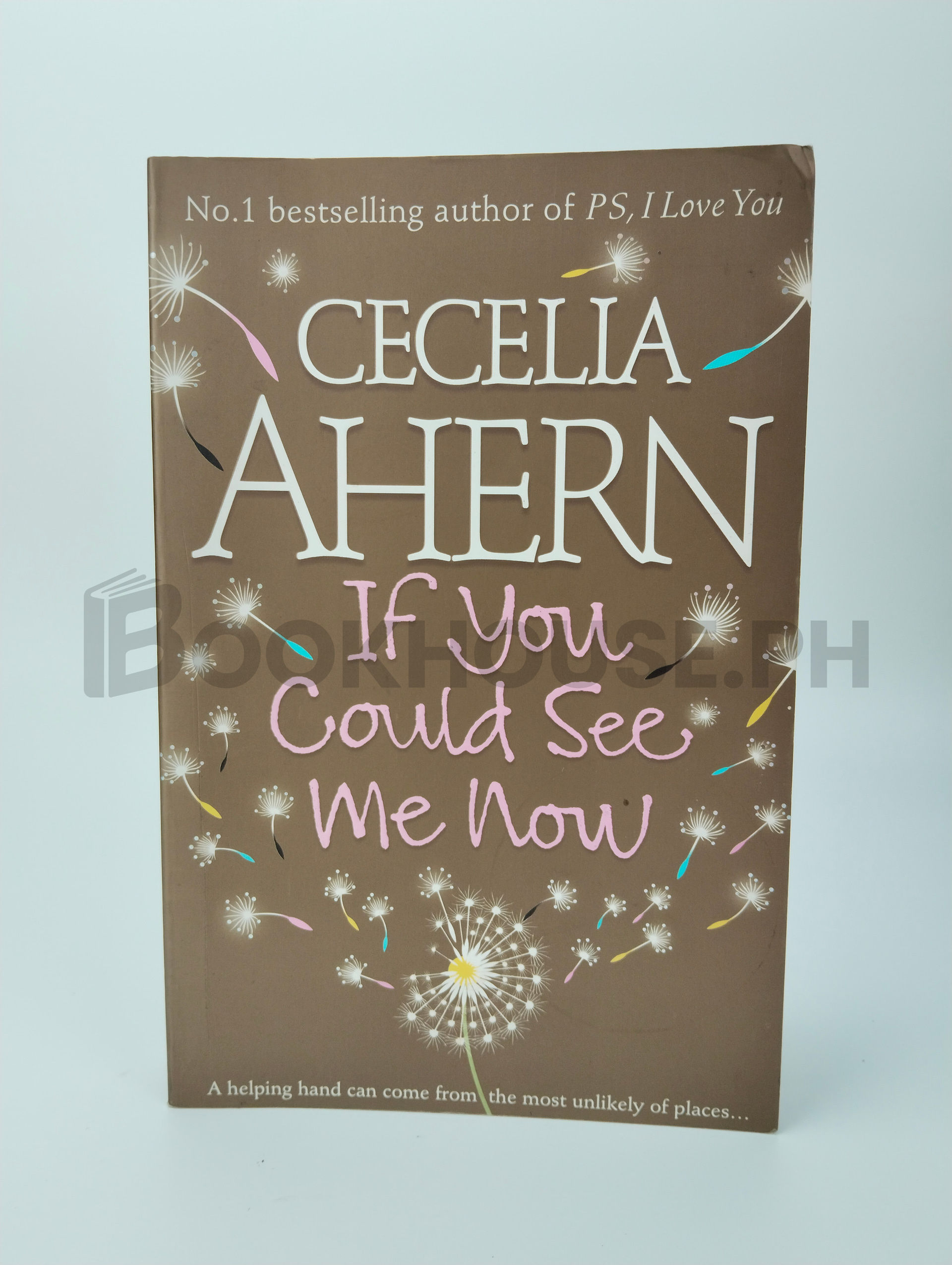If You Could See Me Now by Cecelia Ahern