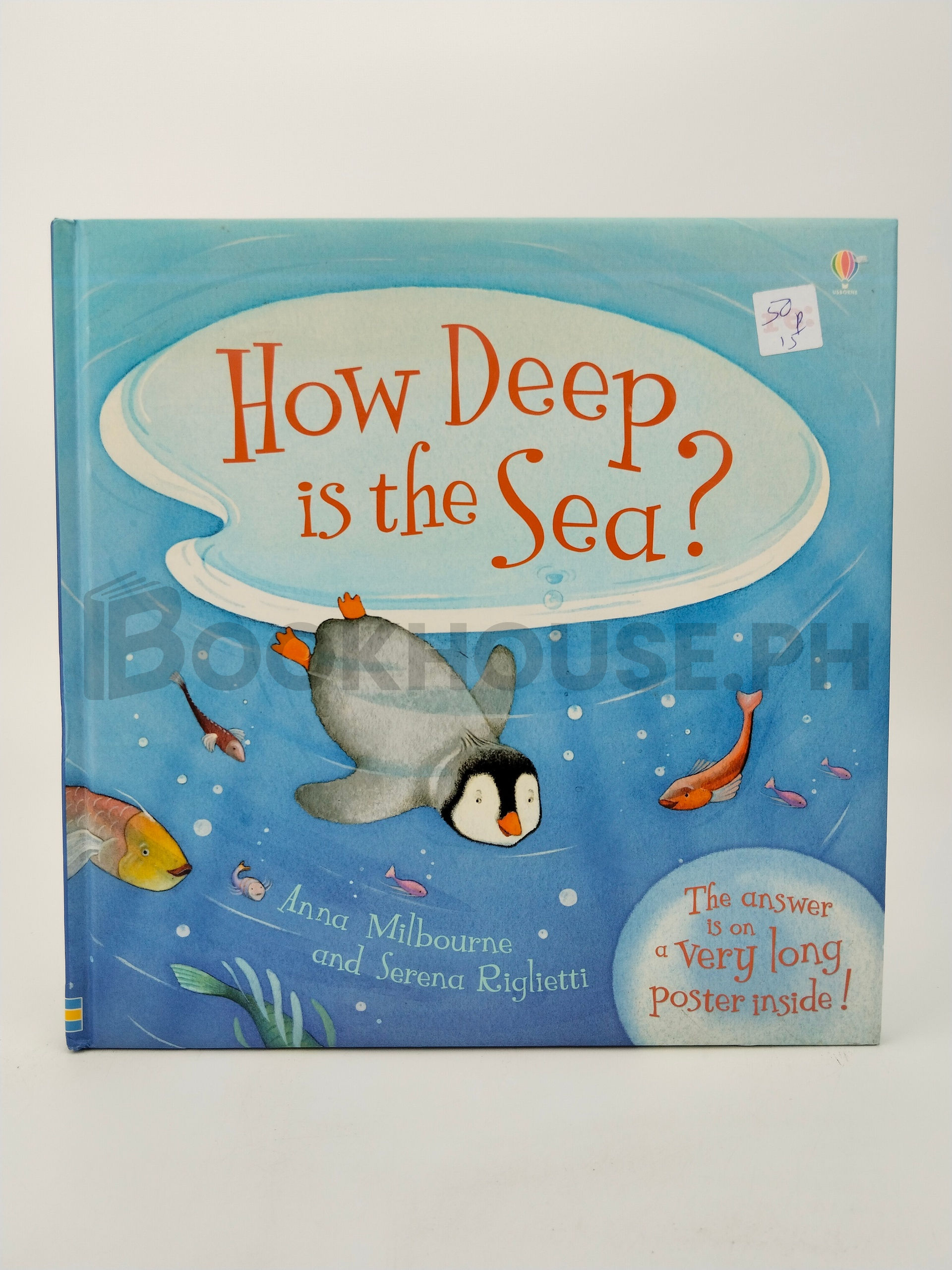 How Deep Is The Sea? by Anna Milbourne