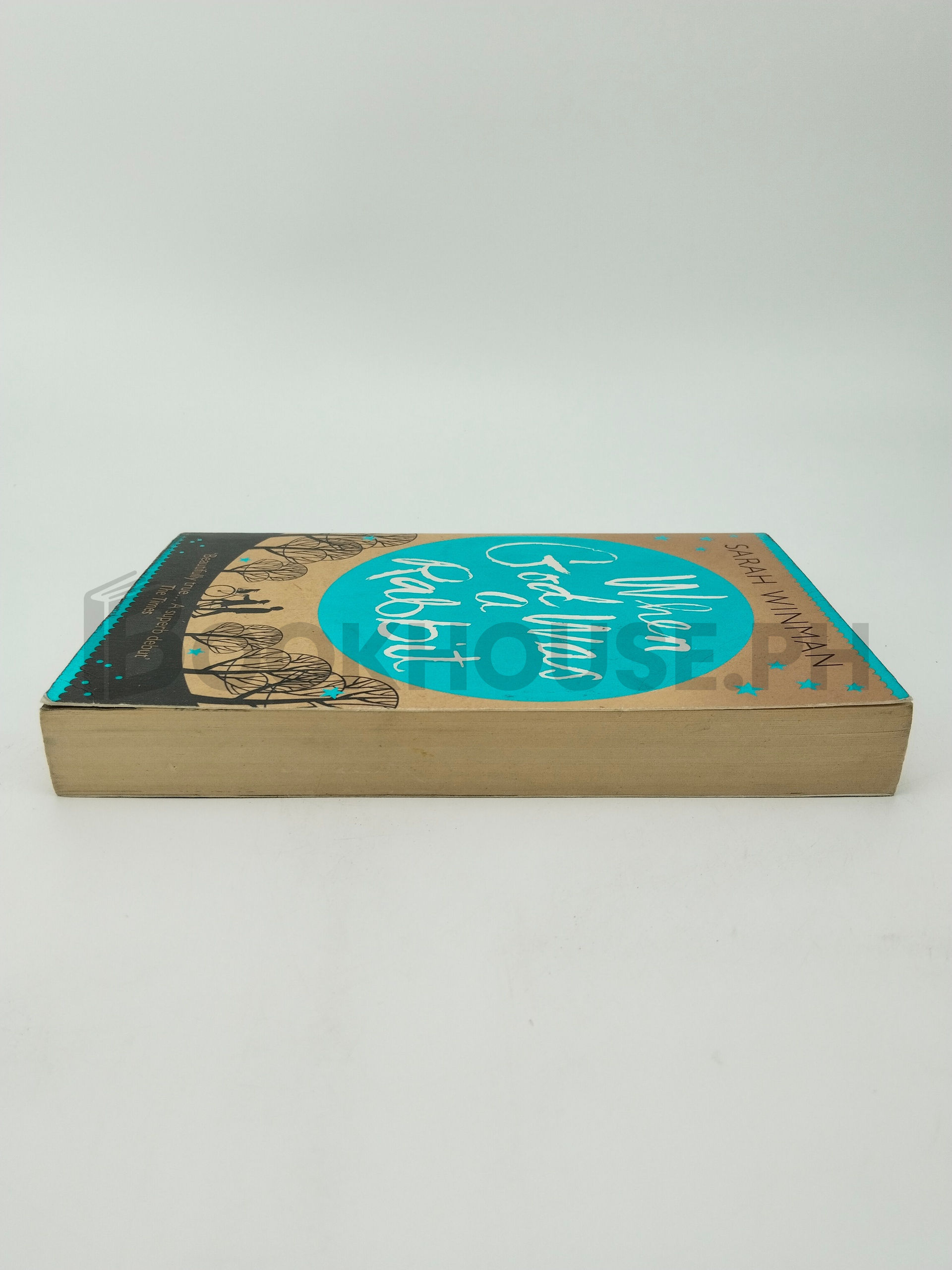 When God Was A Rabbit by Sarah Winman - Image 4