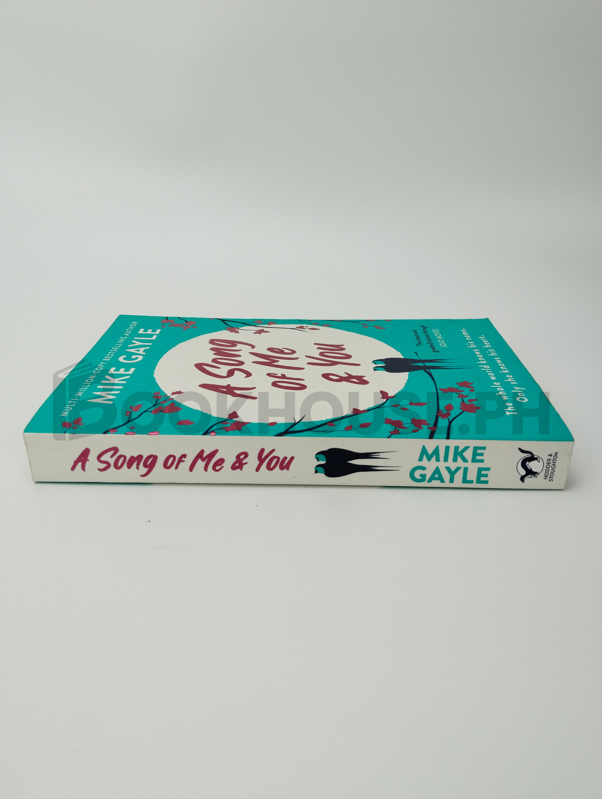 A Song Of Me & You by Mike Gayle - Image 3