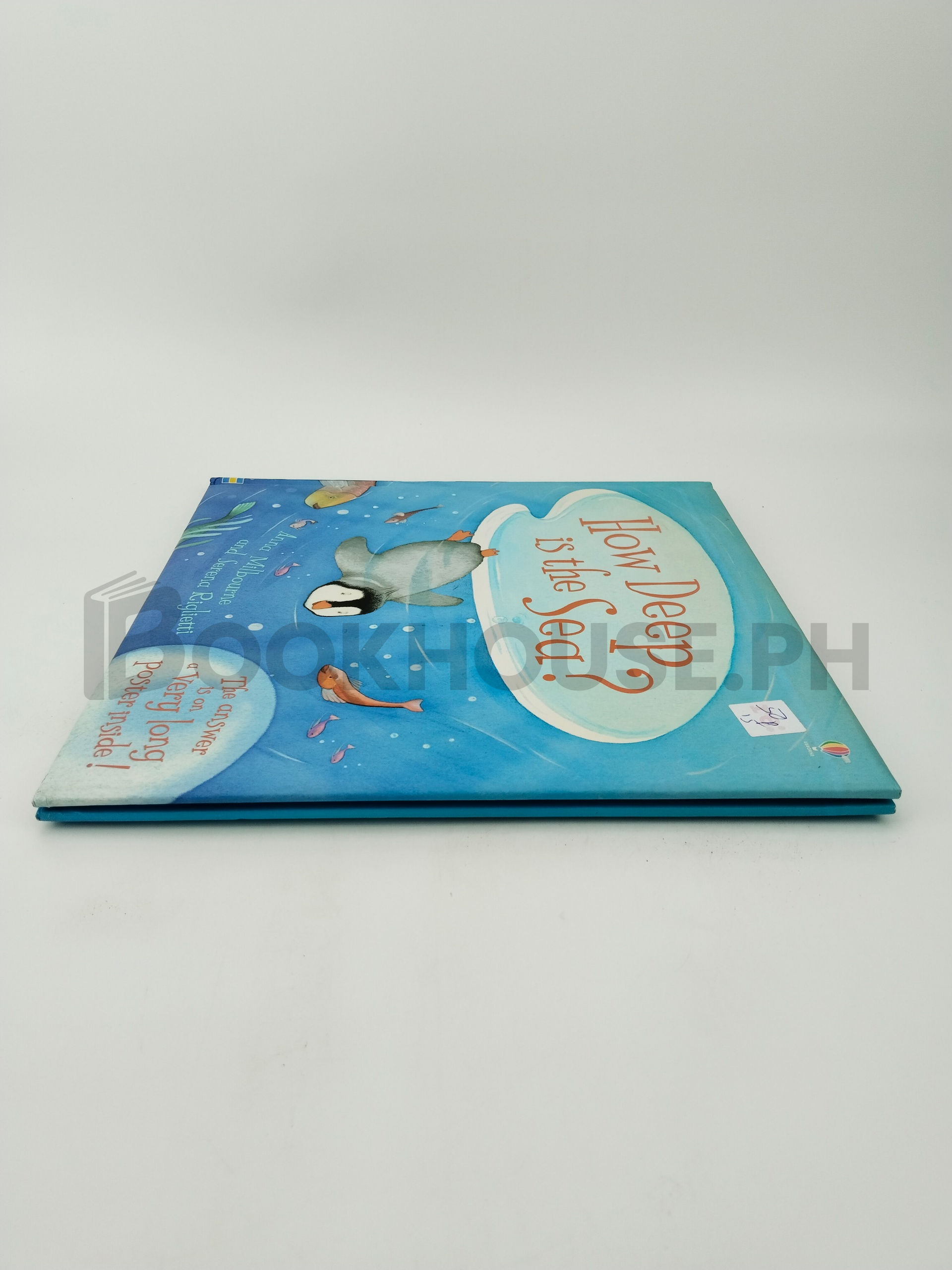 How Deep Is The Sea? by Anna Milbourne - Image 4