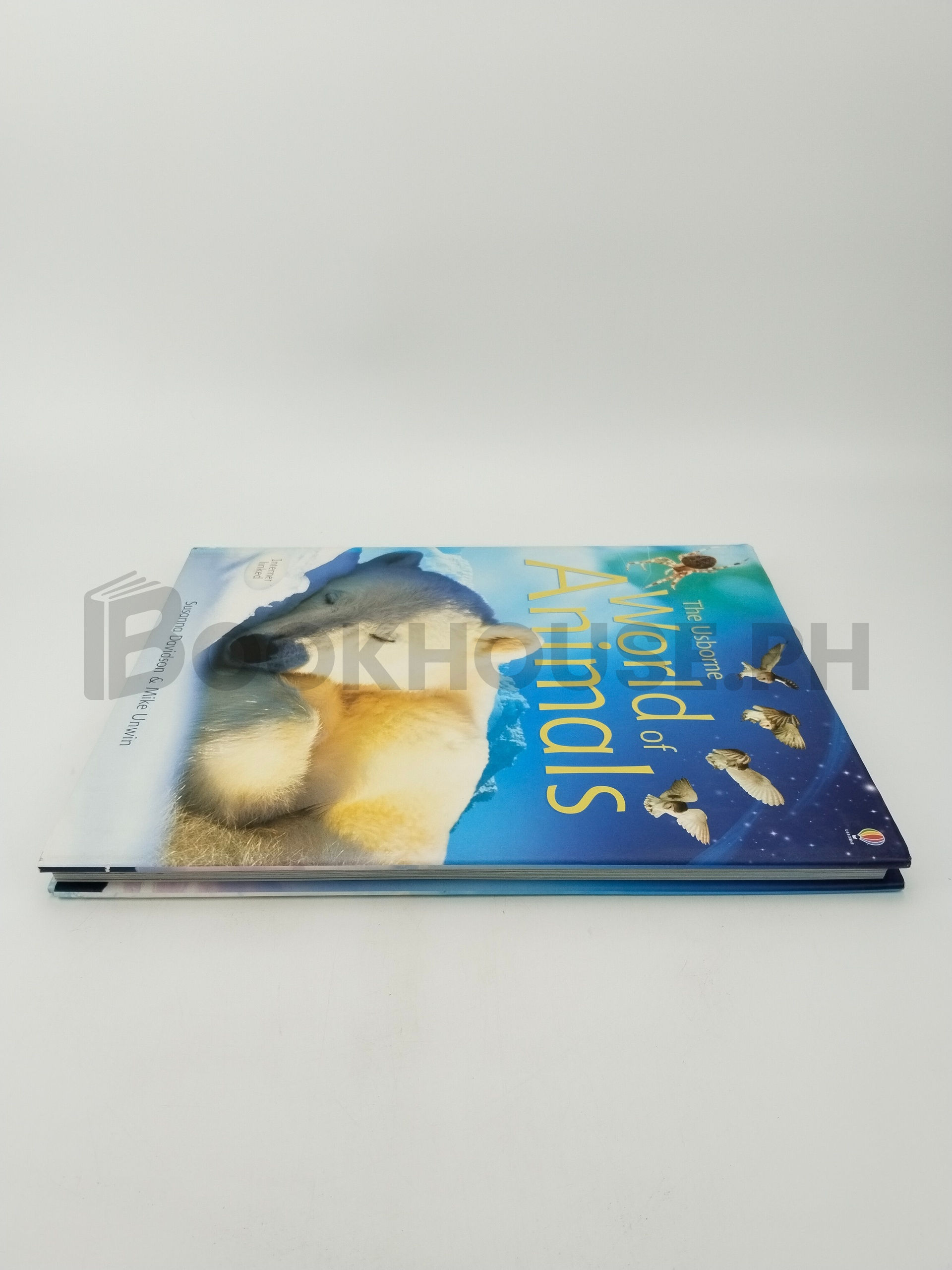 The Usborne World Of Animals by Susanna Davidson, Mike Unwin - Image 4