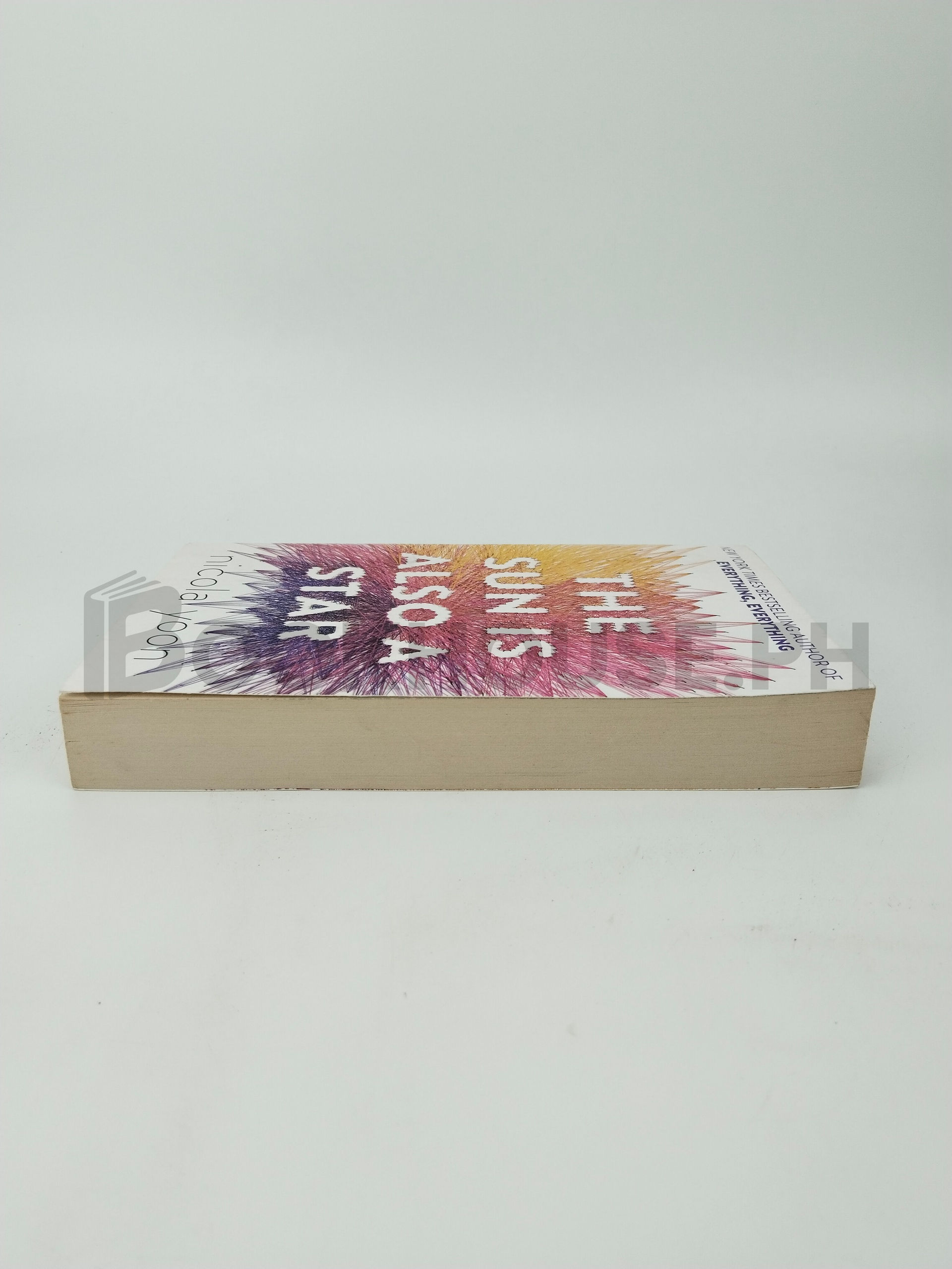 The Sun Is Also A Star by Nicola Yoon - Image 4