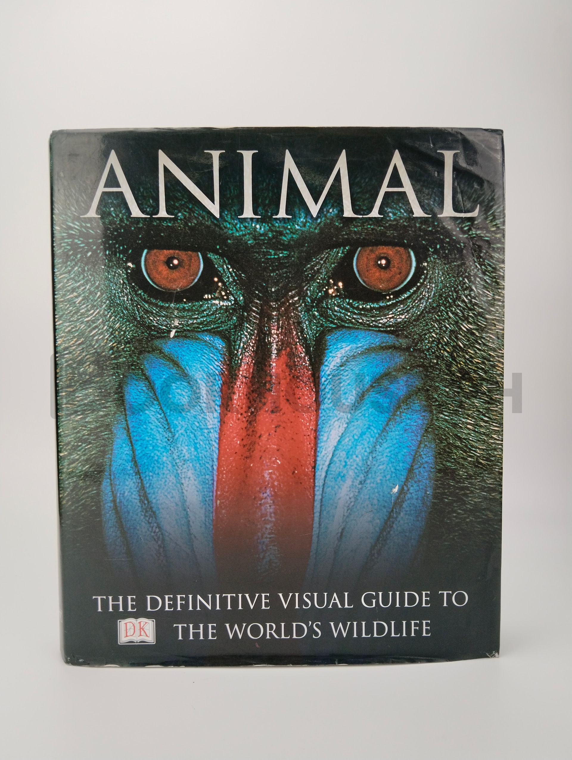 Animal by David Burnie
