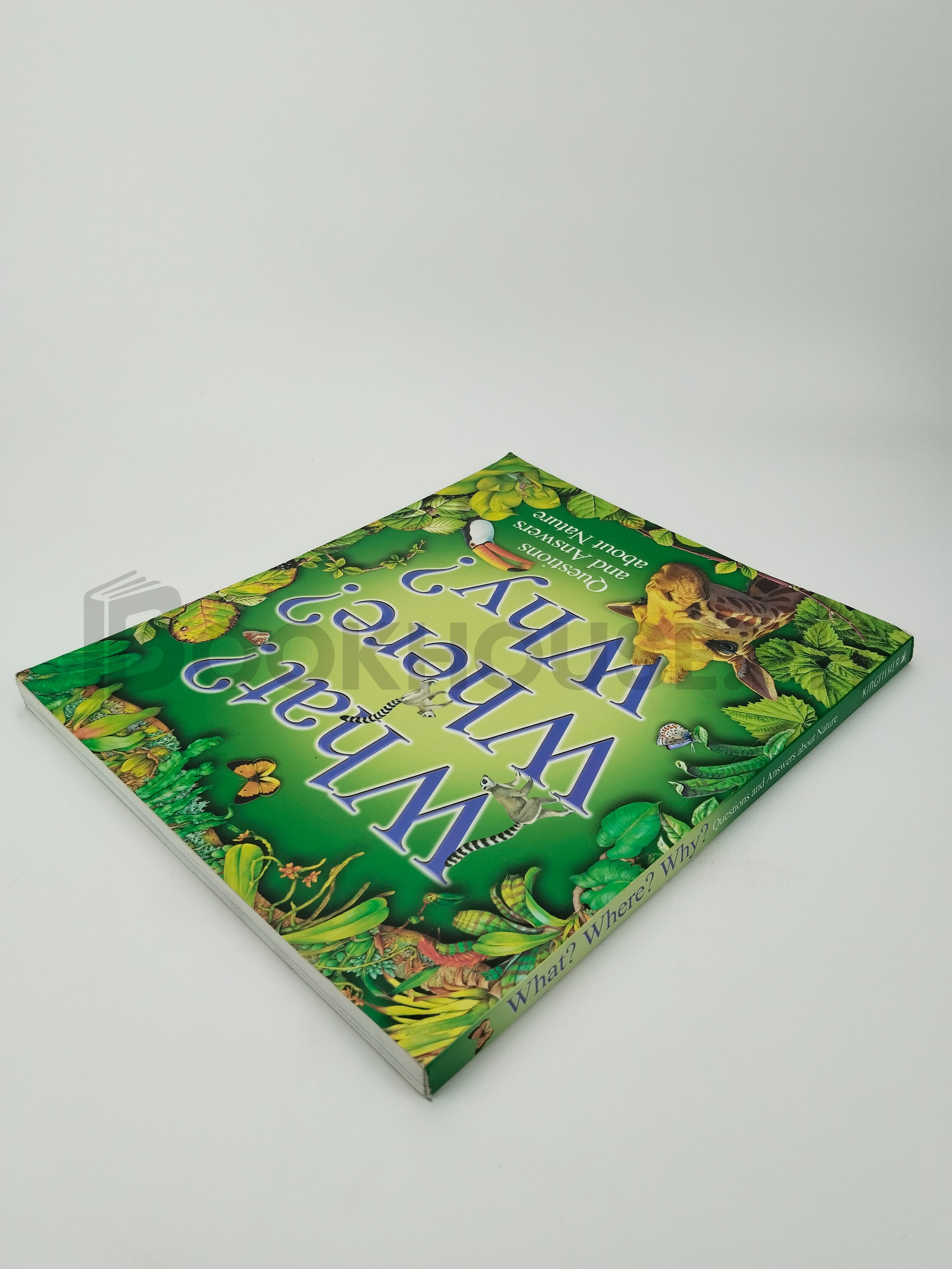 What? Where? Why? by Jim Bruce - Image 2