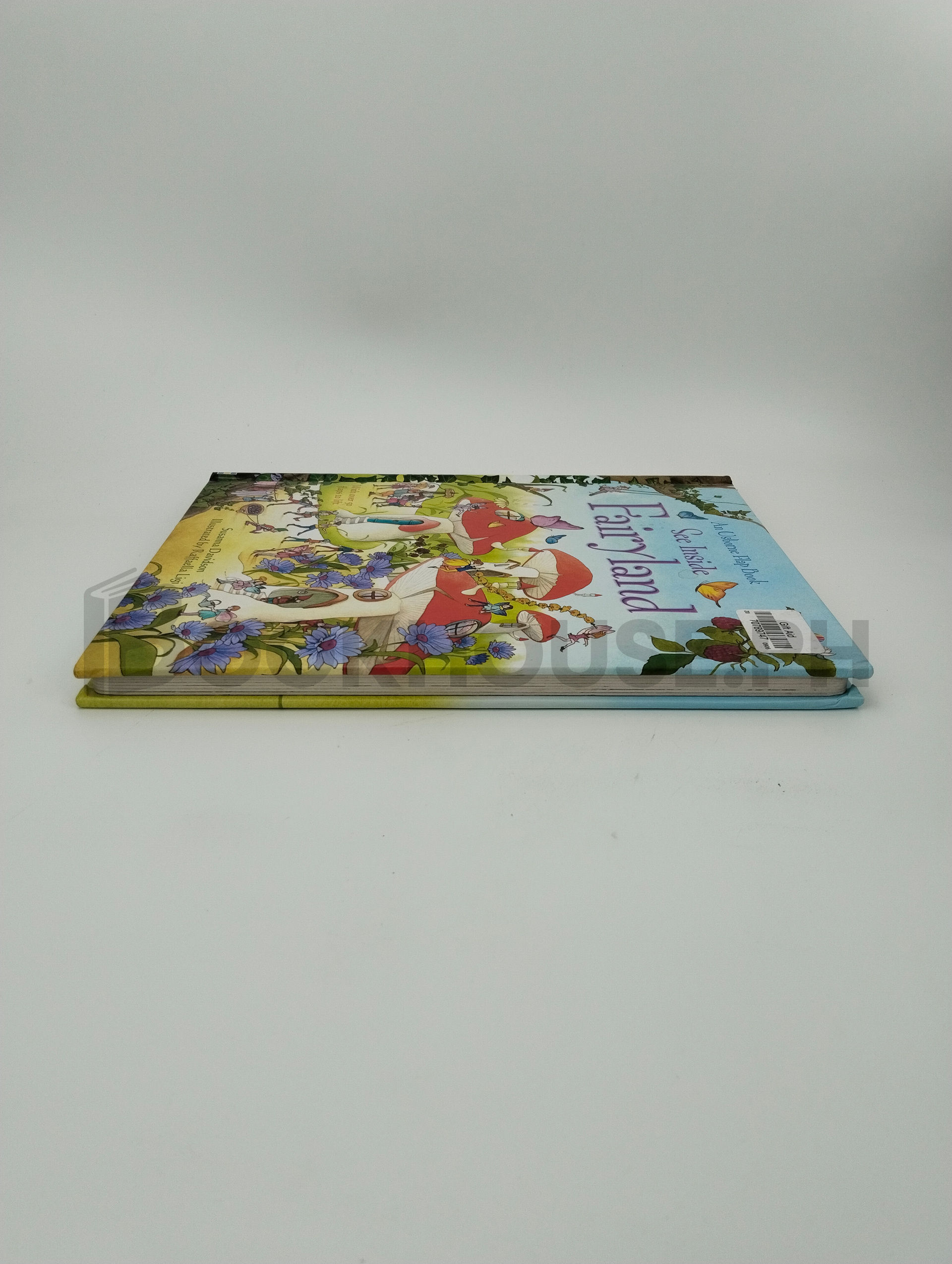 See Inside Fairyland by Susanna Davidson, Rafaella Ligi - Image 4