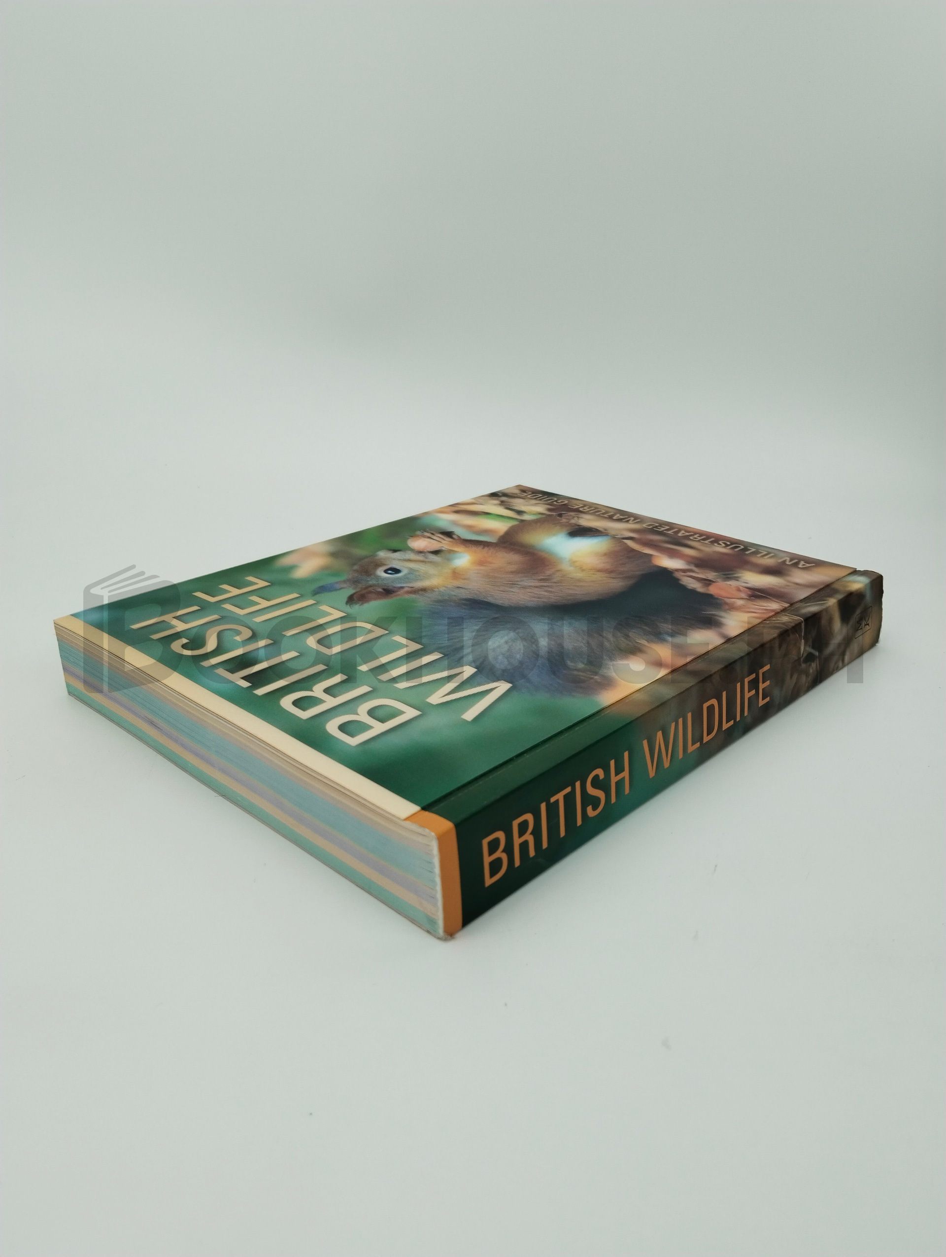 British Wildlife by Miles Kelly - Image 2