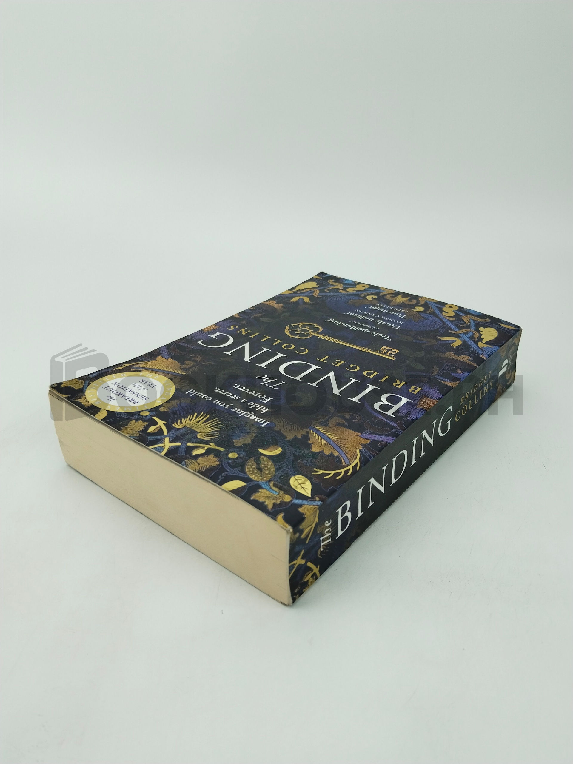 The Binding by Bridget Collins - Image 2