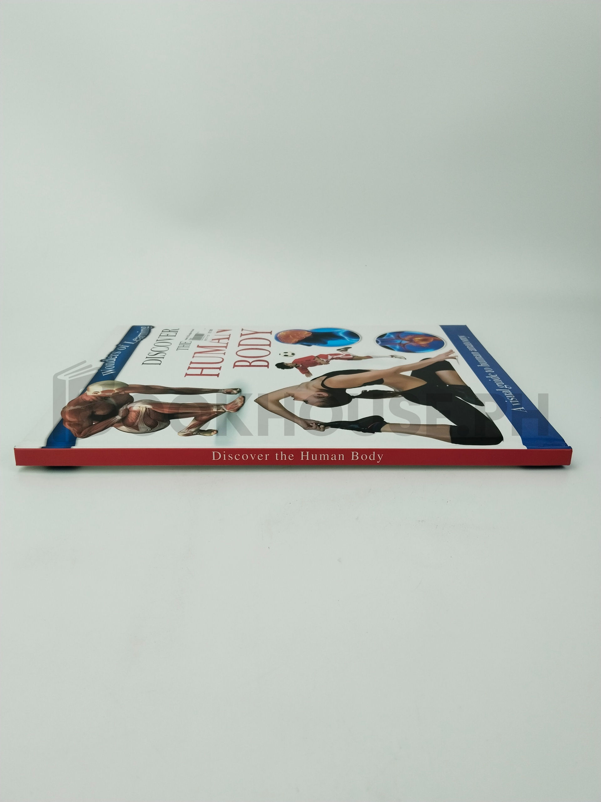 First Human Body Book by Sean Kennelly (editor) - Image 3