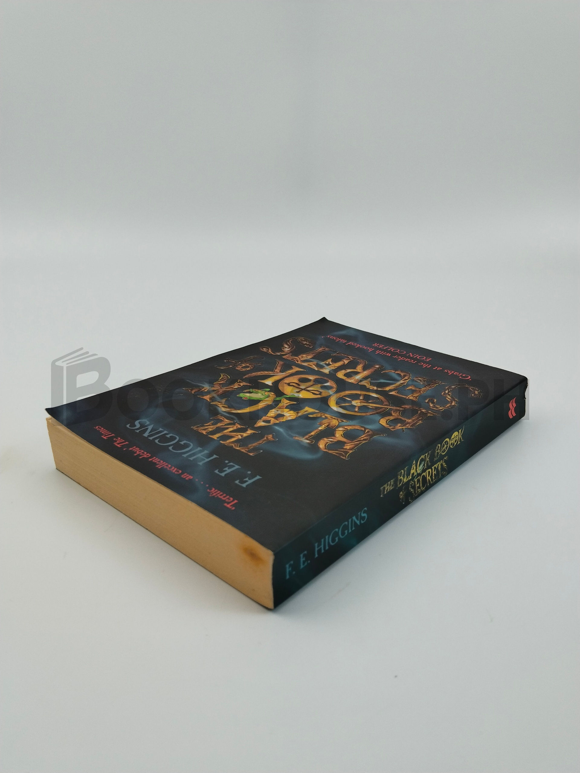 The Black Book Of Secrets by F. E. Higgins - Image 2