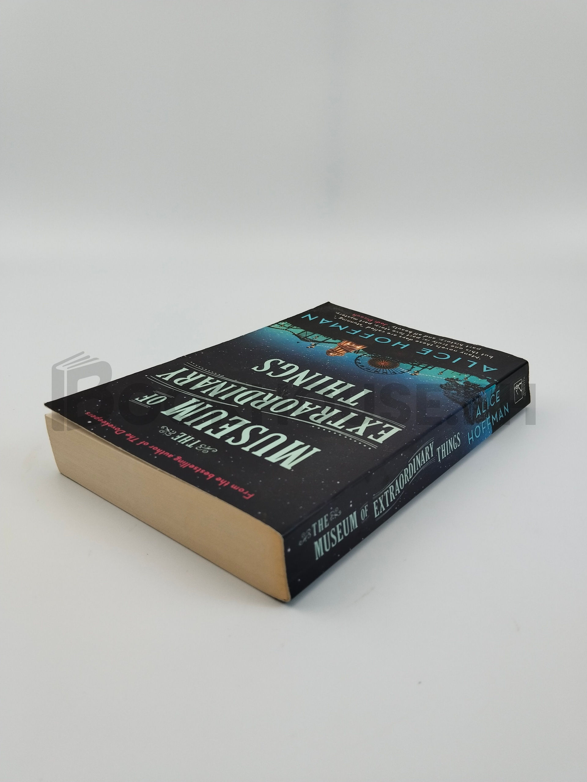 The Museum Of Extraordinary Things by Alice Hoffman - Image 2