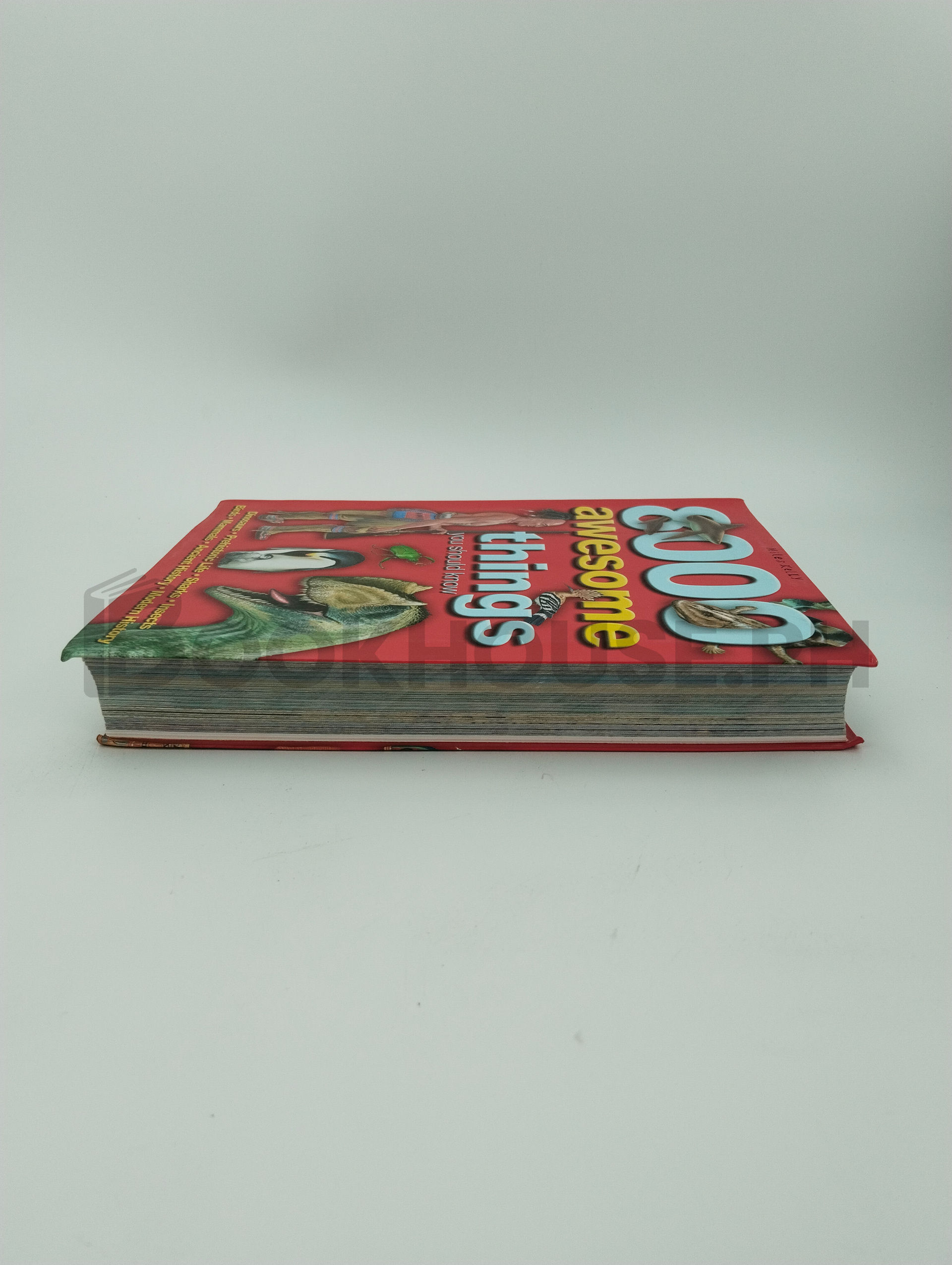 8000 Awesome Things You Should Know by Belinda Gallagher, Miles Kelly Publishing - Image 4