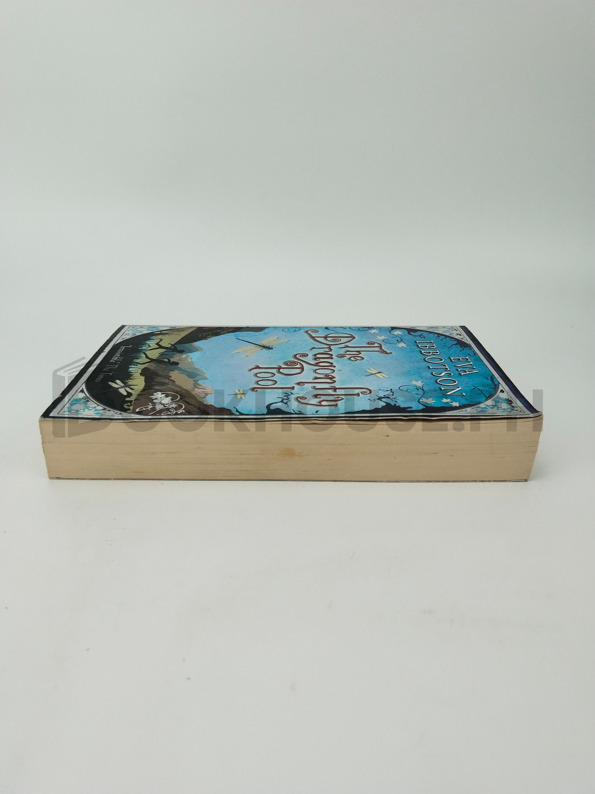 The Dragonfly Pool by Eva Ibbotson - Image 4