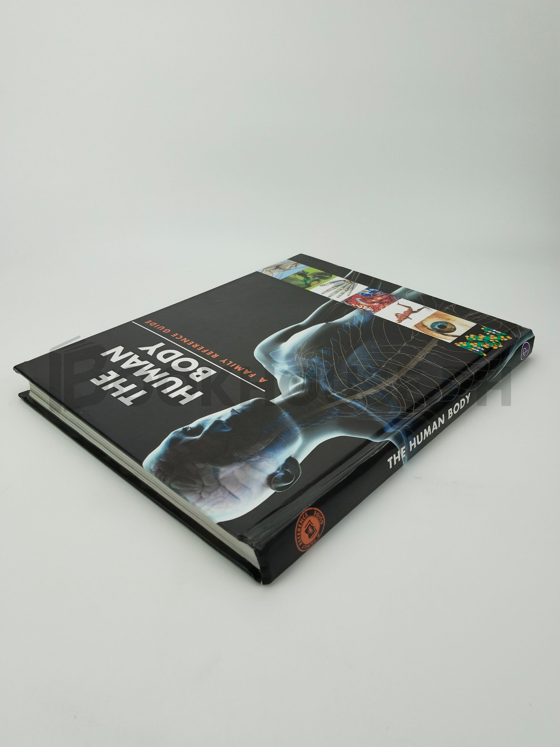 The Human Body by Guy Croton - Image 2