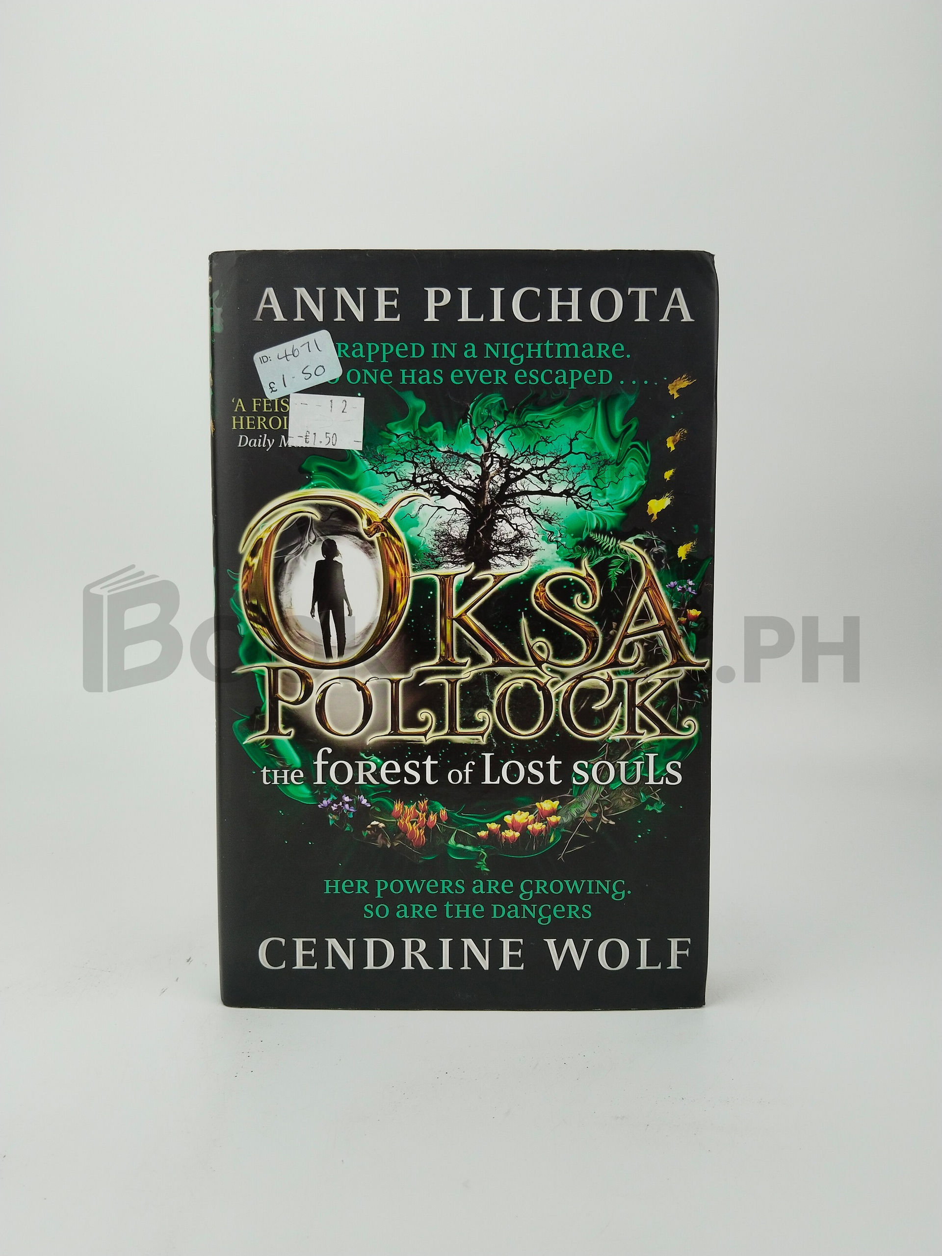 The Forest Of Lost Souls by Anne Plichota, Cendrine Wolf, Sue Rose