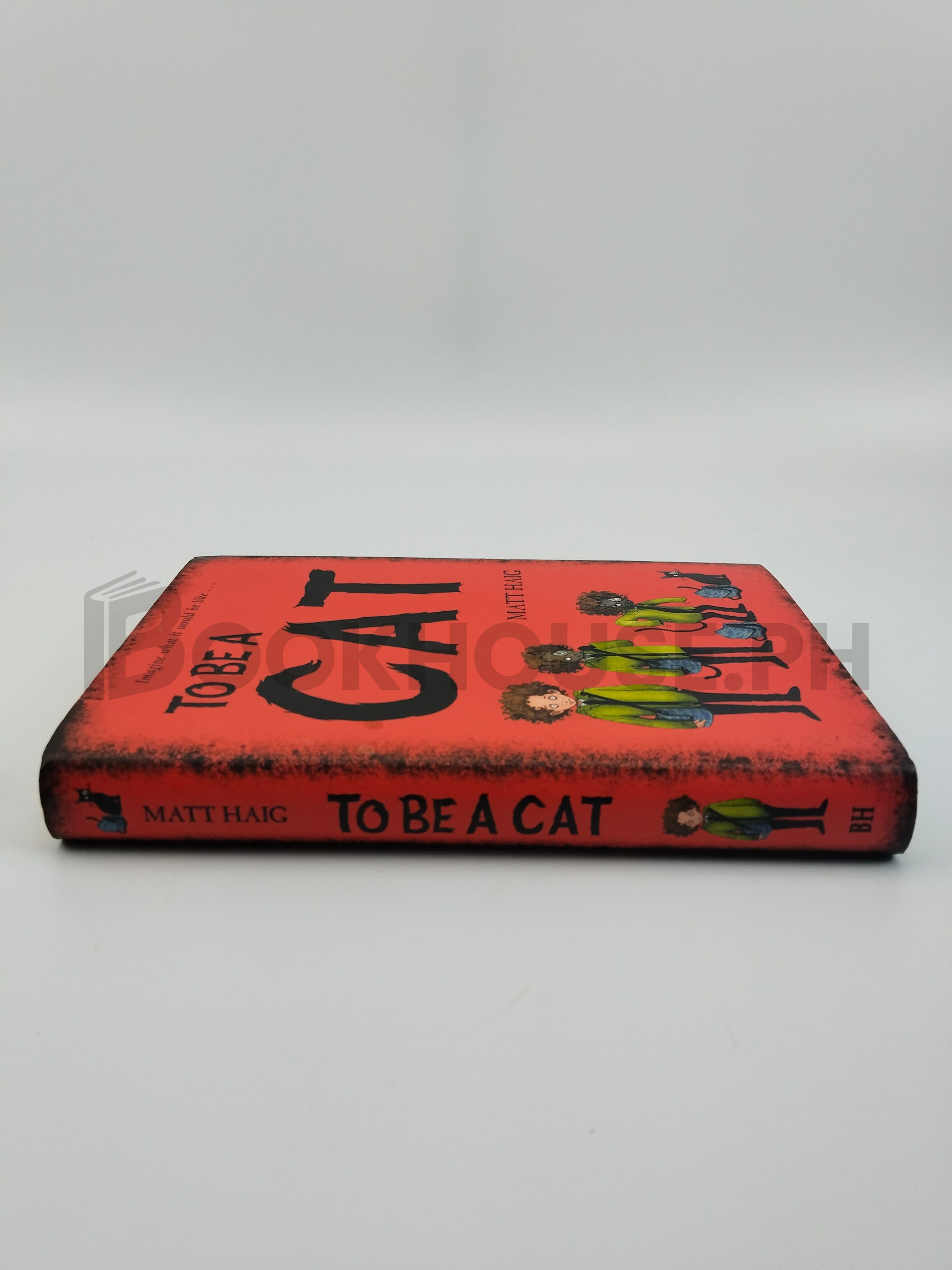 To Be A Cat by Matt Haig - Image 3