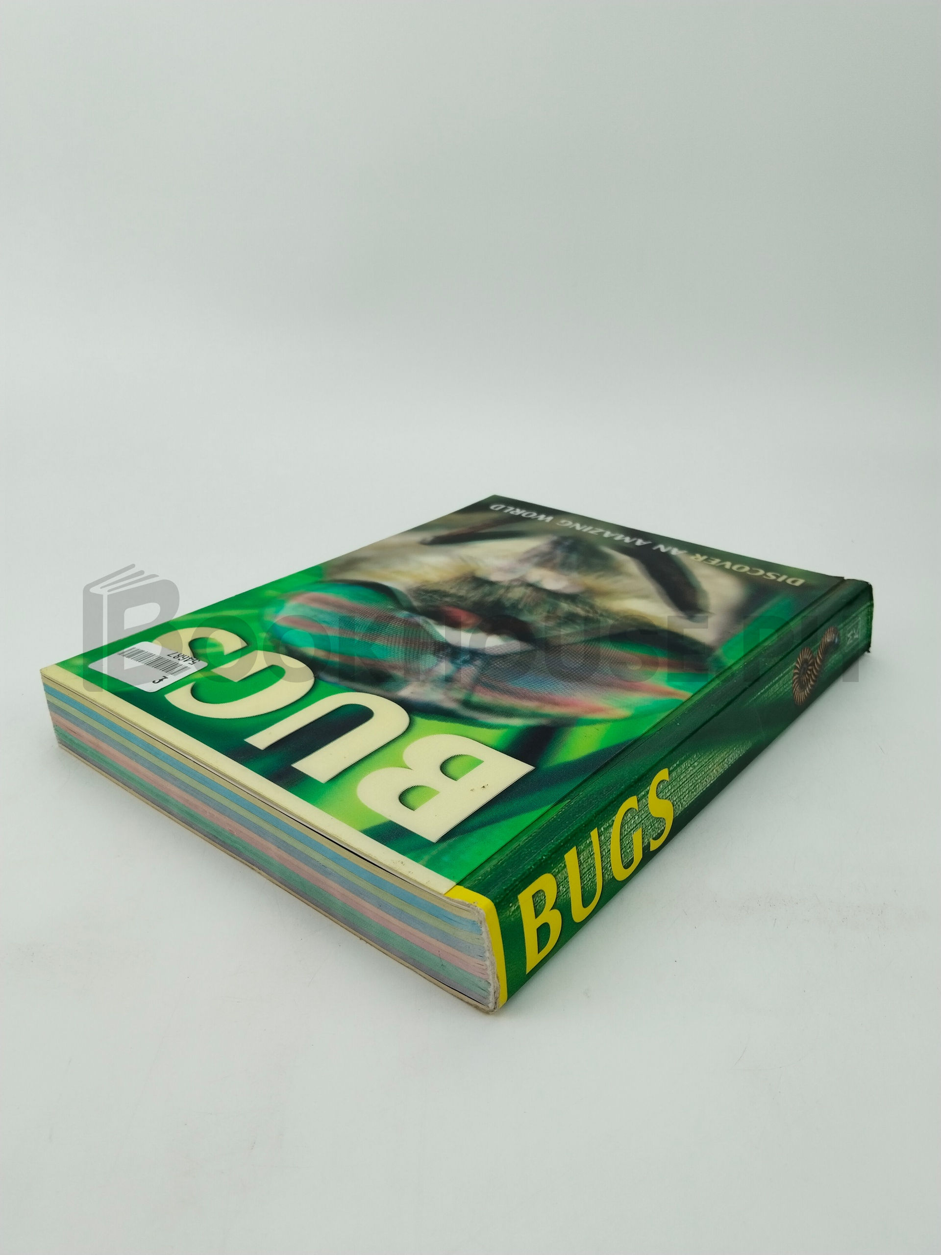 Bugs by Barbara Taylor - Image 2