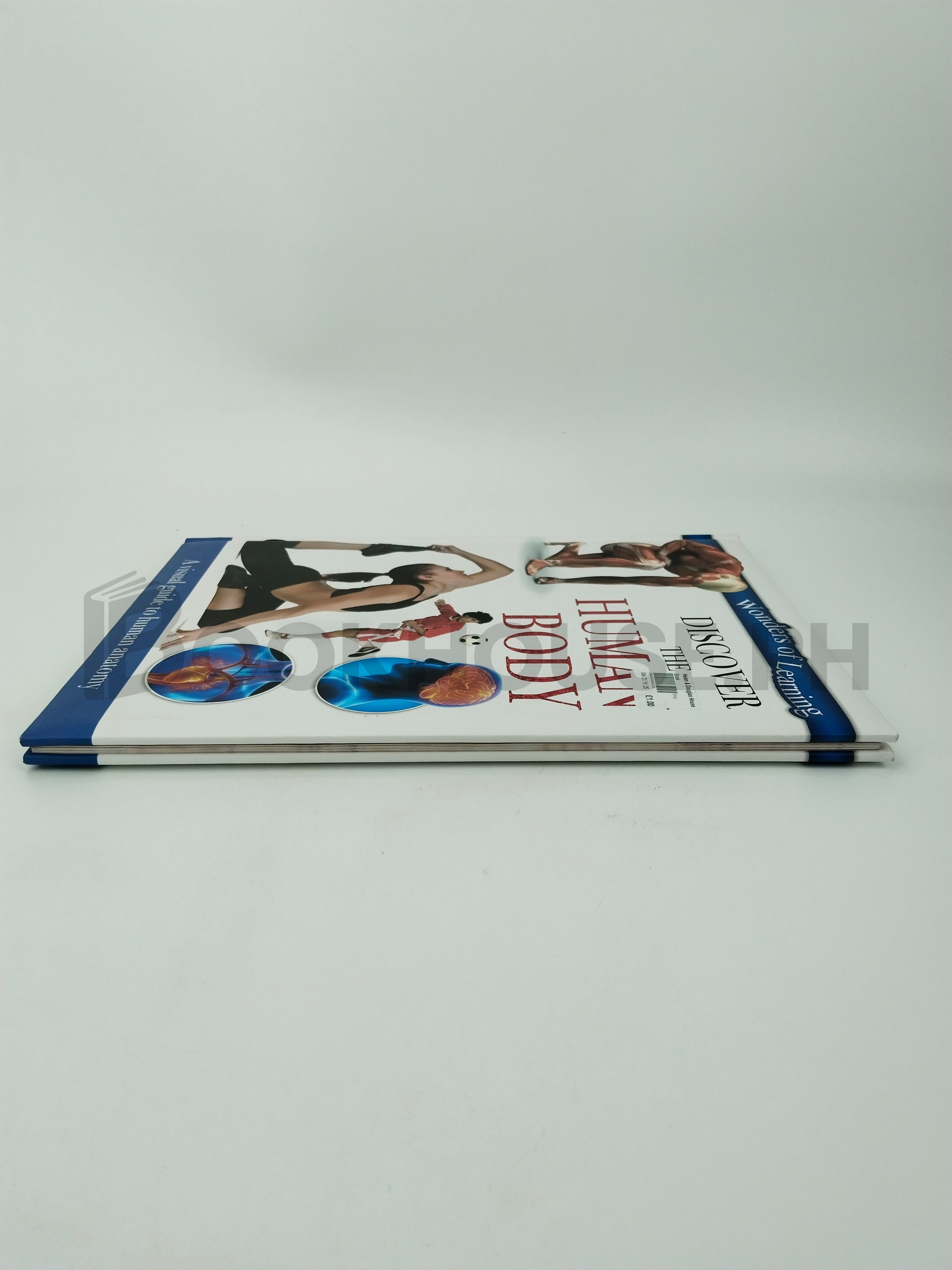 First Human Body Book by Sean Kennelly (editor) - Image 4