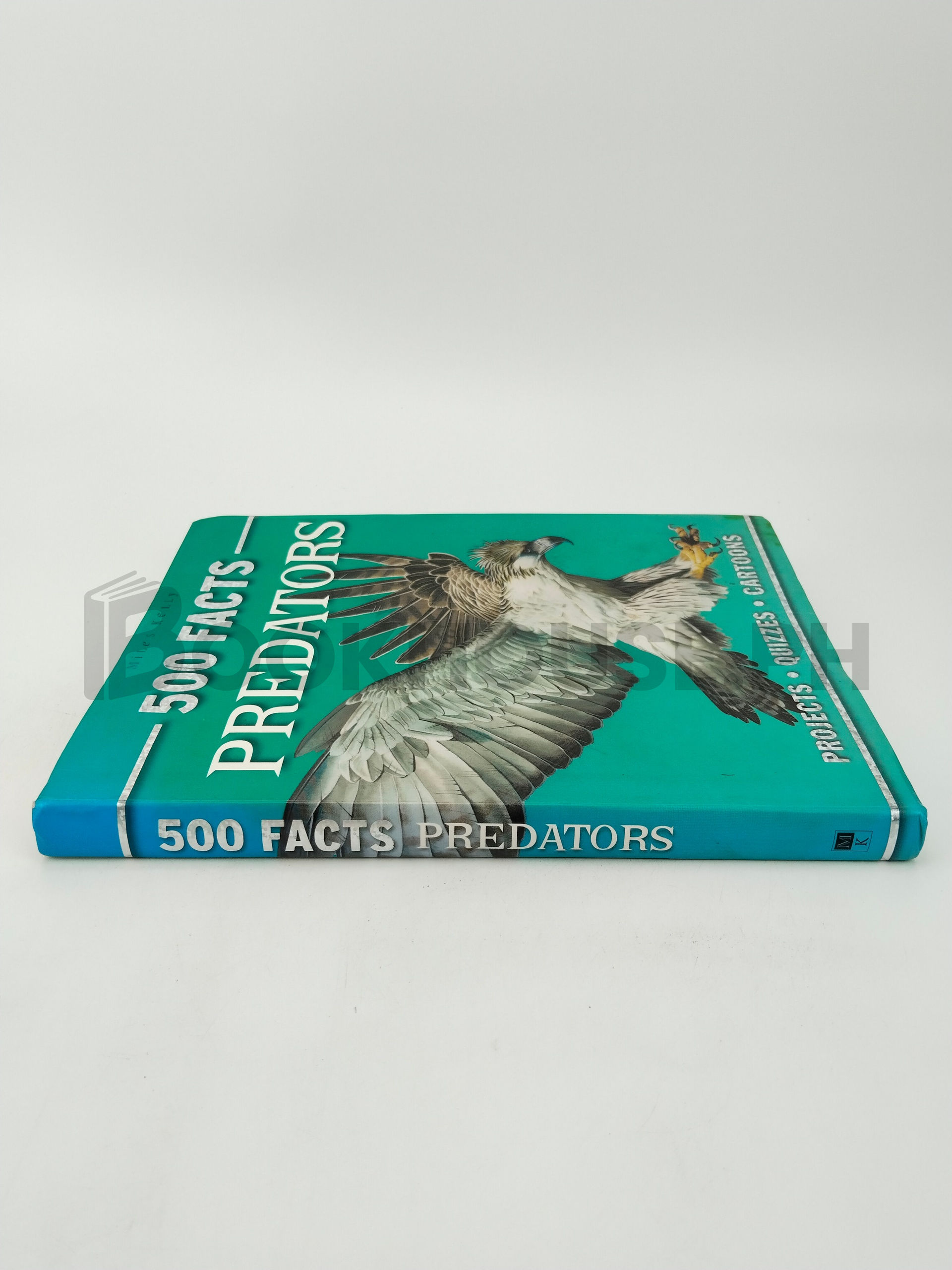 Predators by Belinda Gallagher - Image 3