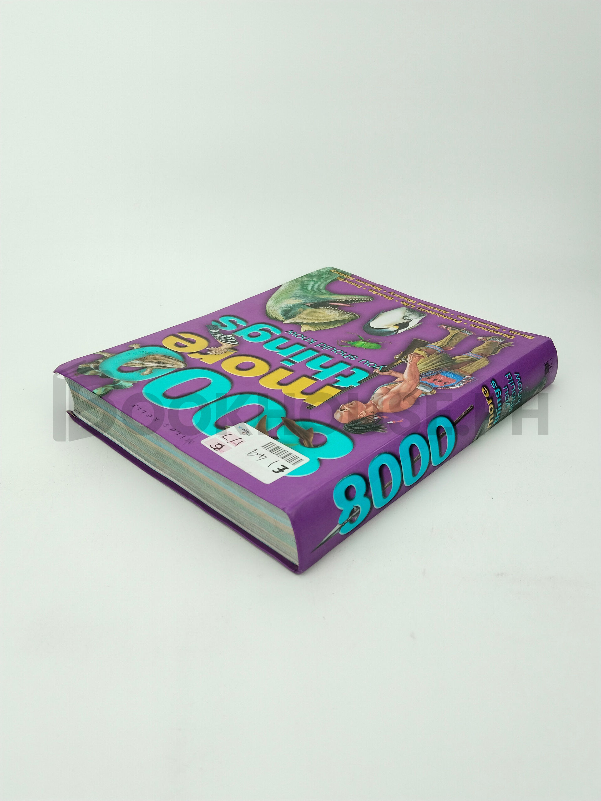 8000 More Things You Should Know by Miles Kelly Publishing, Limited - Image 2