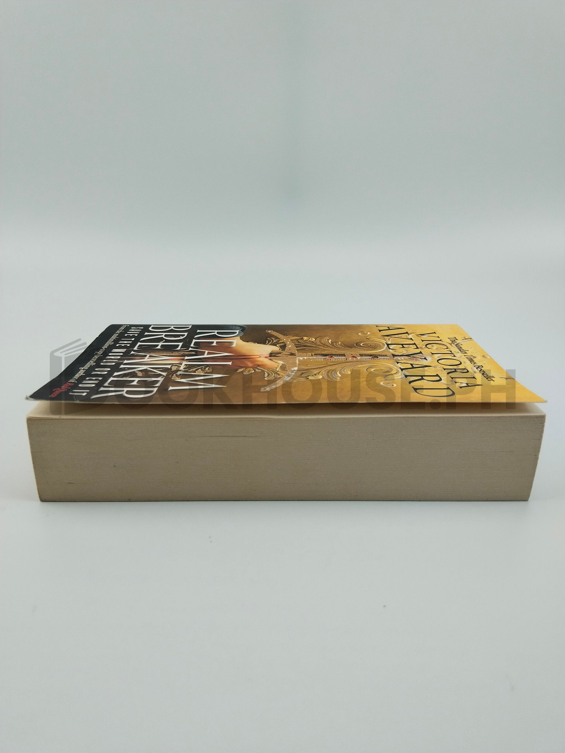 Realm Breaker by Victoria Aveyard - Image 4