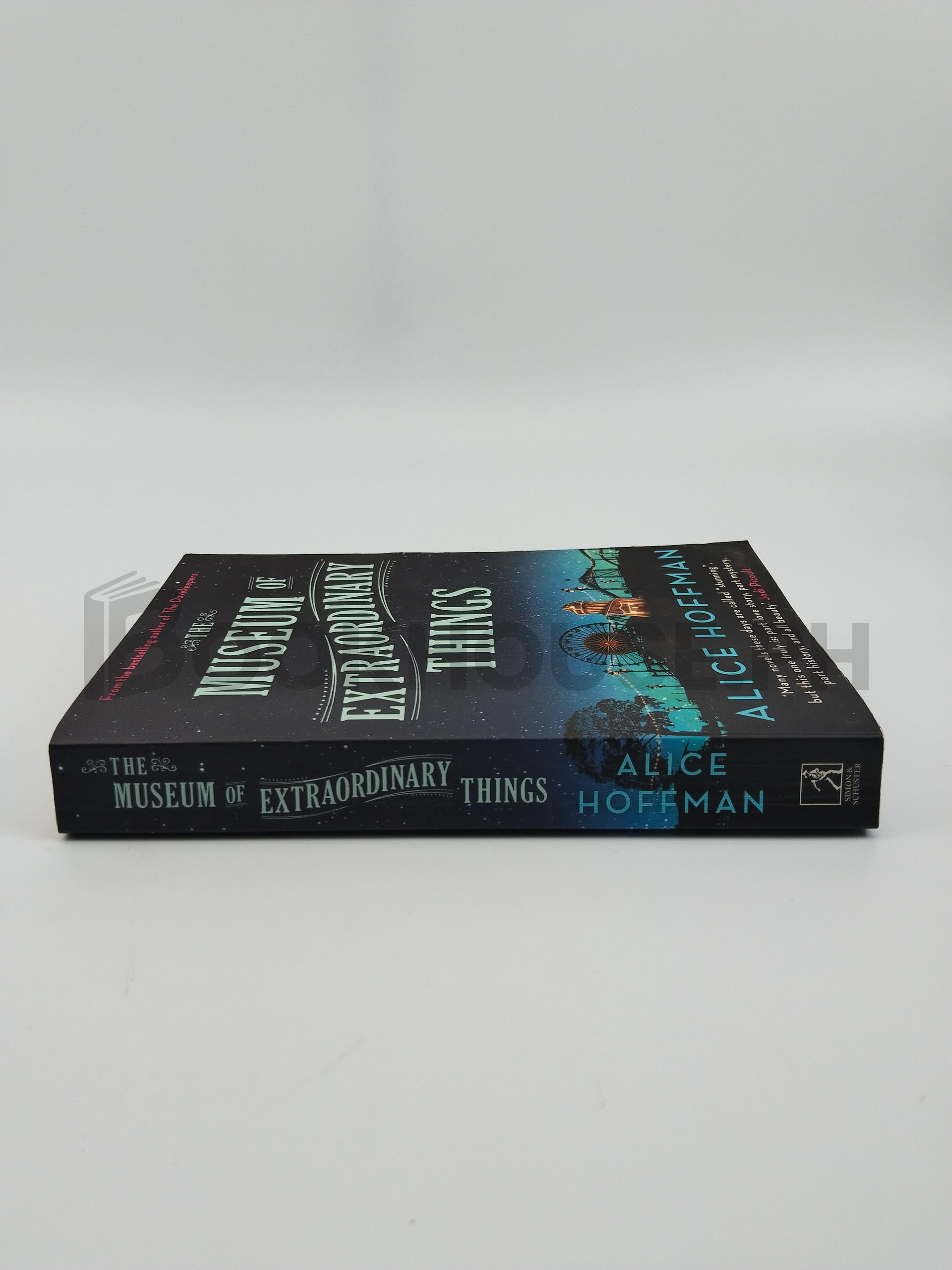 The Museum Of Extraordinary Things by Alice Hoffman - Image 3